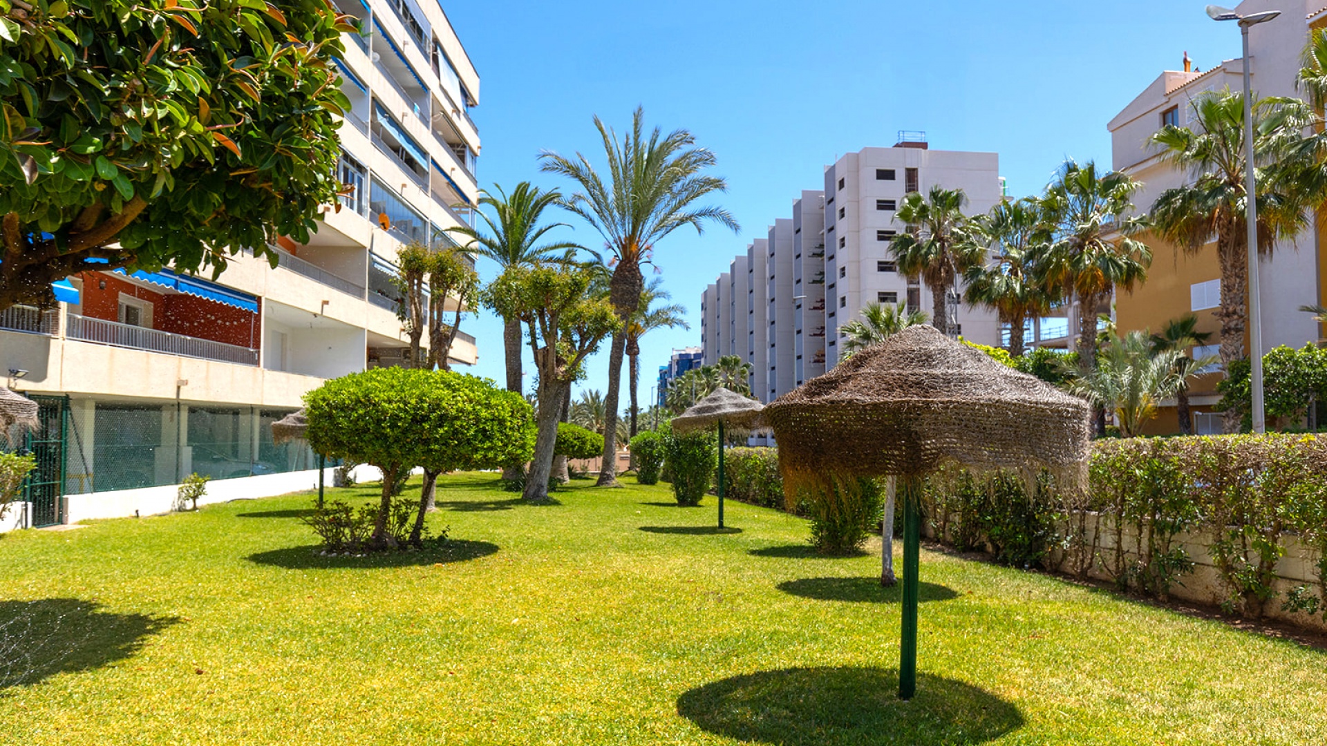 Wederverkoop - Appartement - Punta Prima - rocio del mar