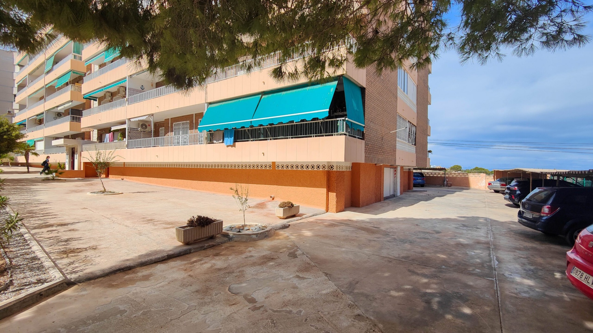 Wederverkoop - Appartement - Punta Prima - rocio del mar