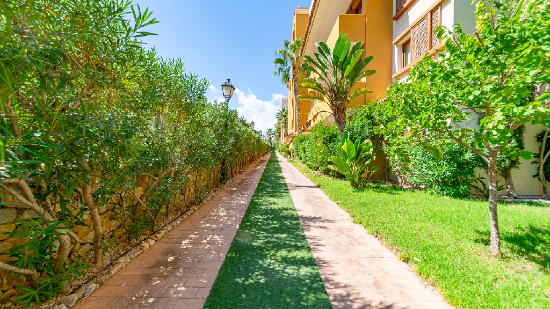 Wederverkoop - Appartement - Punta Prima