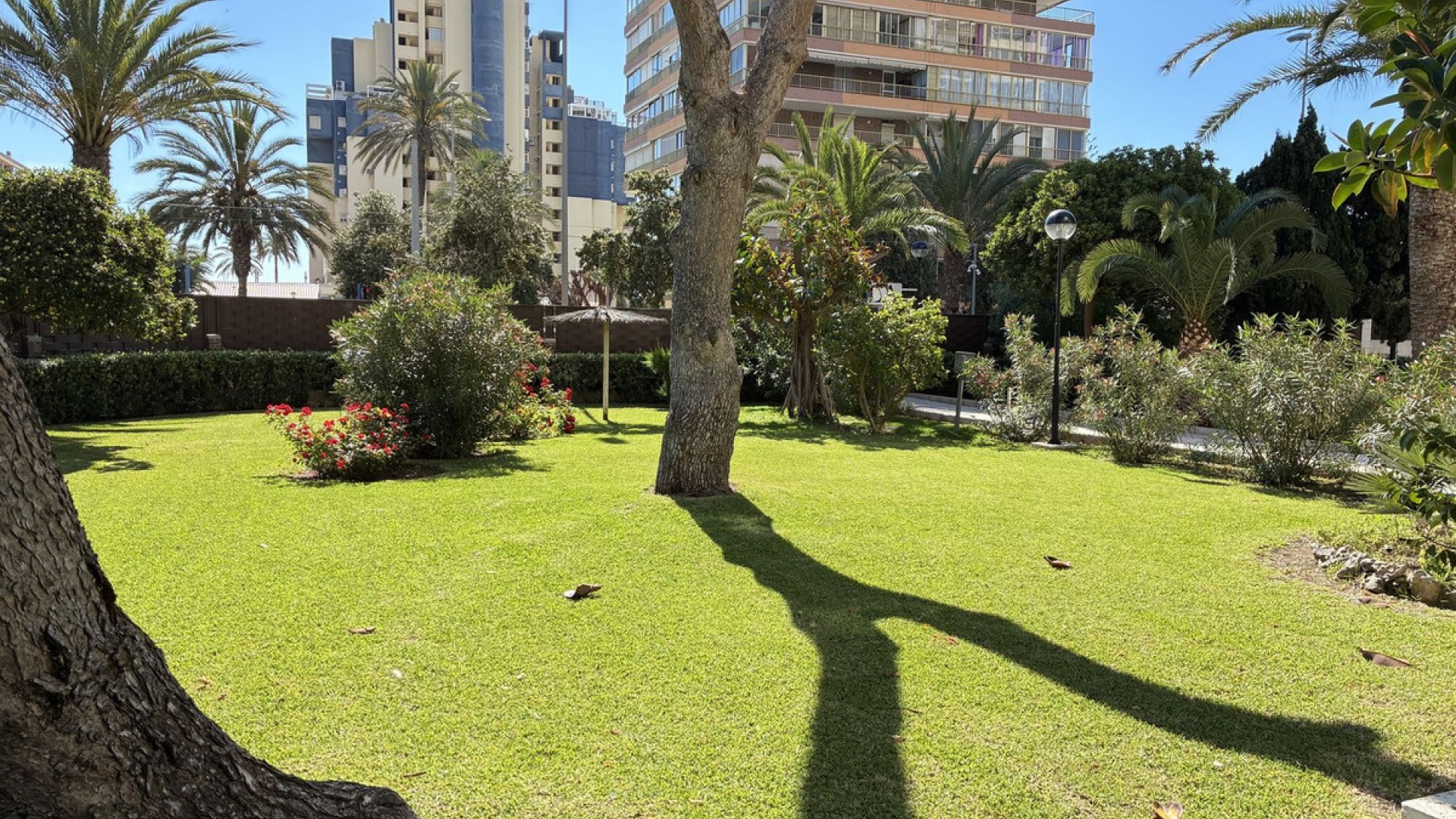 Wederverkoop - Appartement - San Juan de Alicante - Playa de San Juan