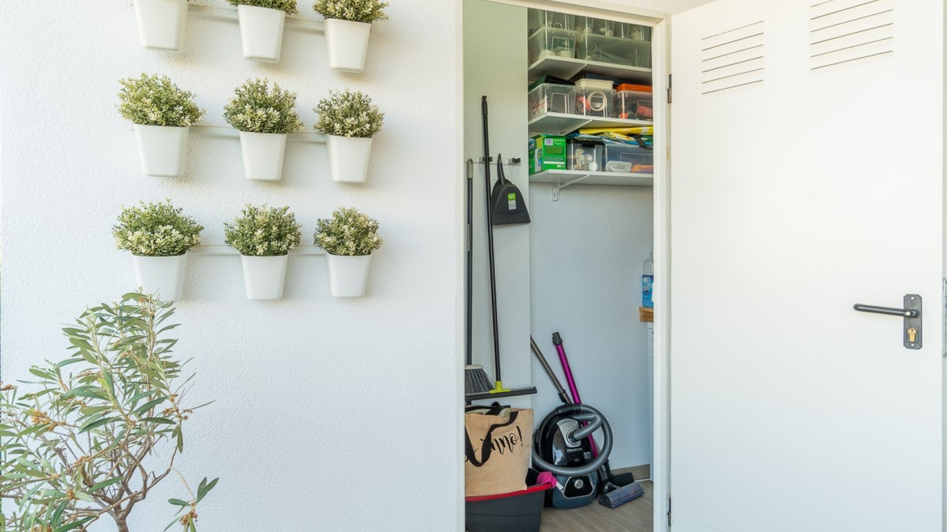 Wederverkoop - Appartement - San Miguel de Salinas - Capri Apartments