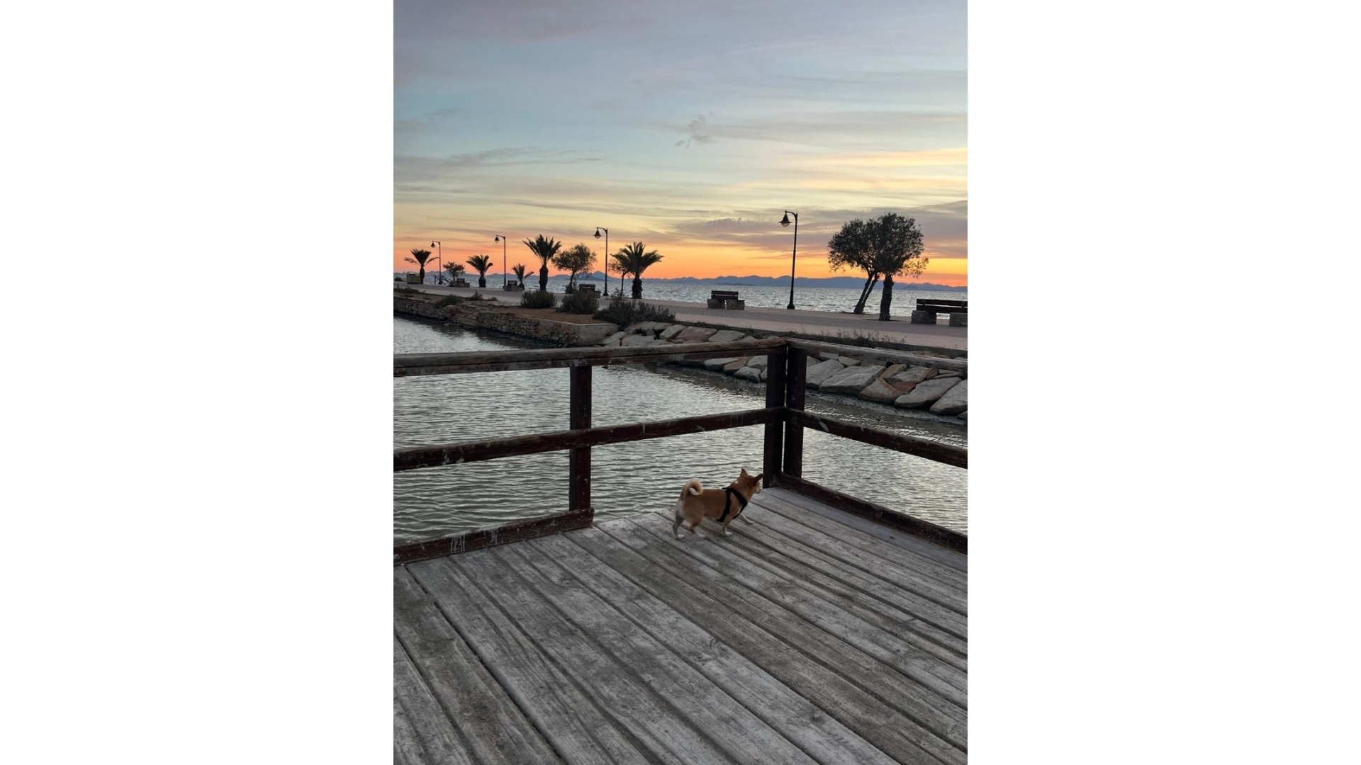 Wederverkoop - Appartement - San Pedro del Pinatar - Lo Pagan