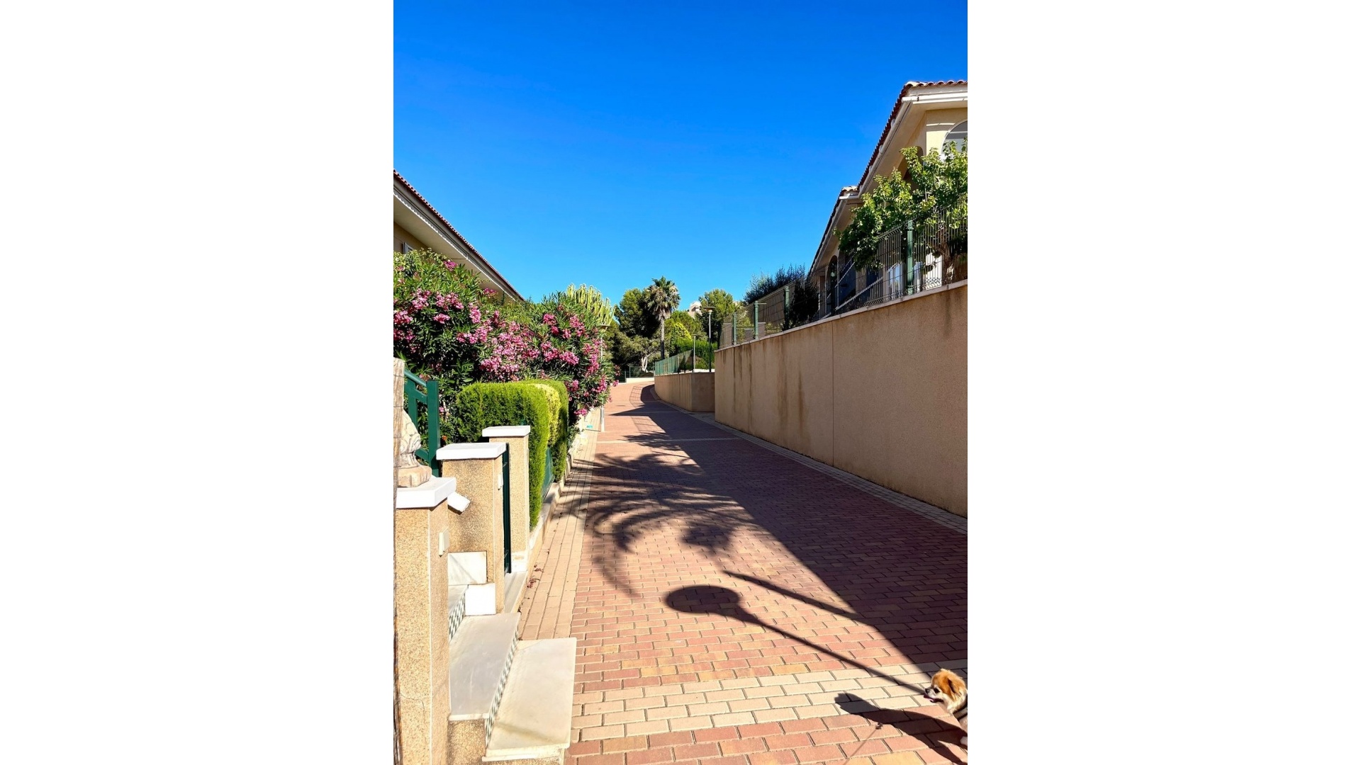 Wederverkoop - Appartement - Santa Pola - Gran Alacant