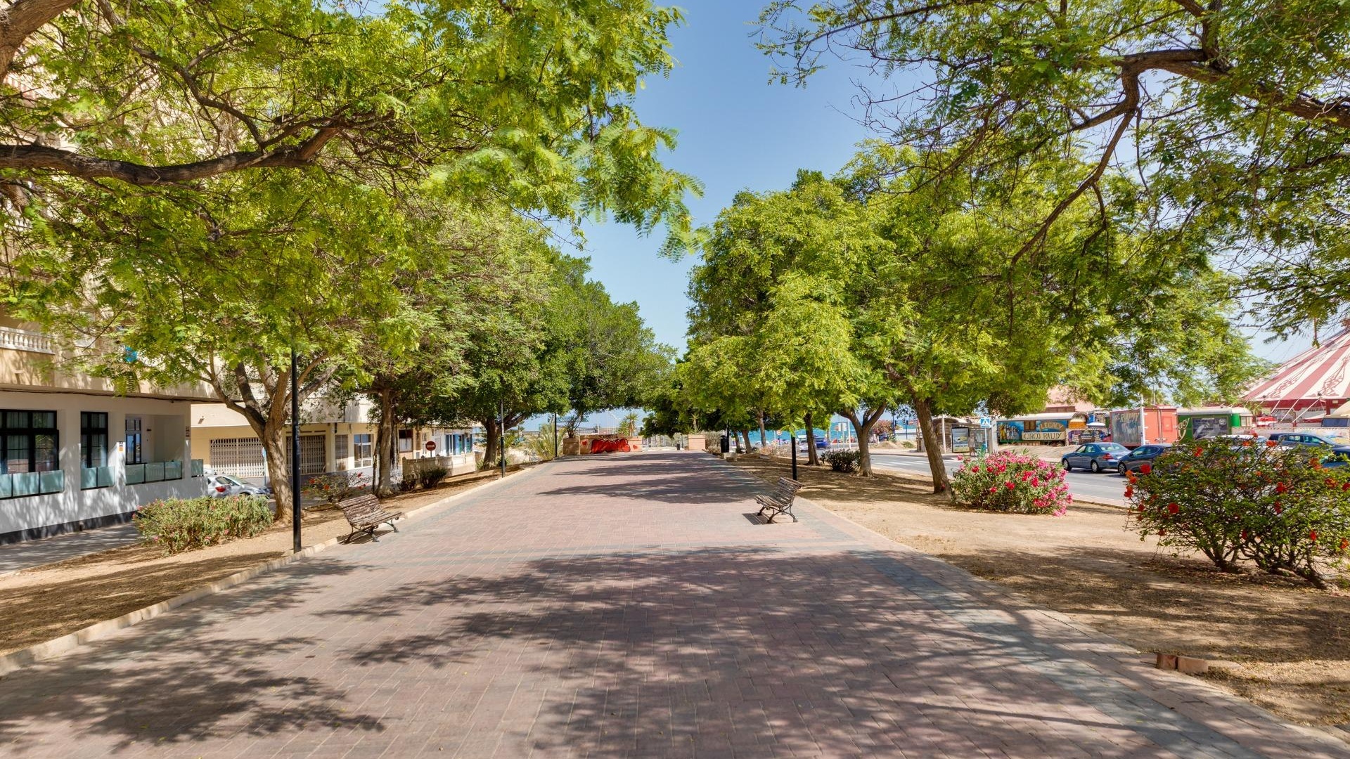 Wederverkoop - Appartement - Torrevieja - Acequion