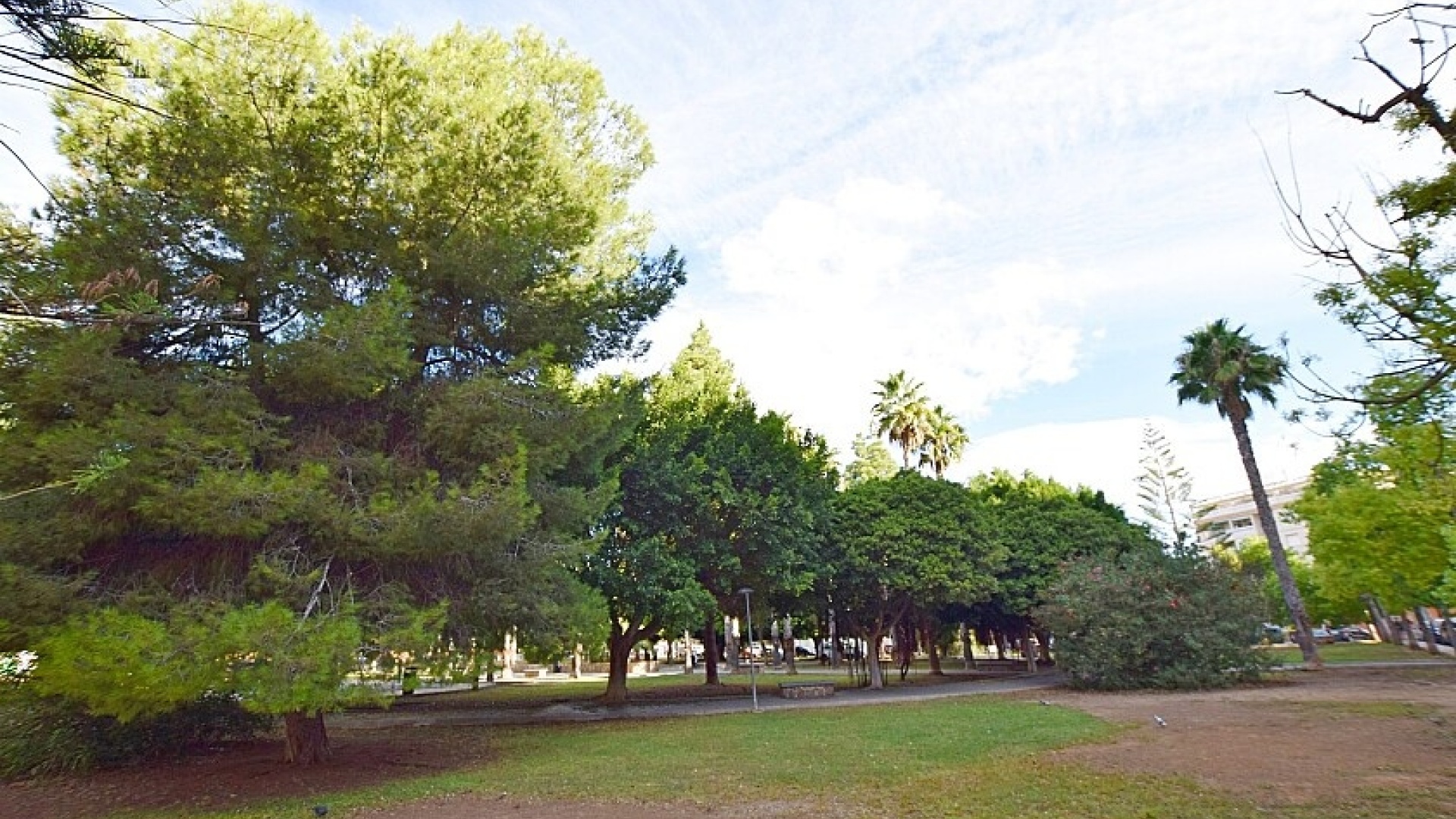 Wederverkoop - Appartement - Torrevieja - Beachside Torrevieja