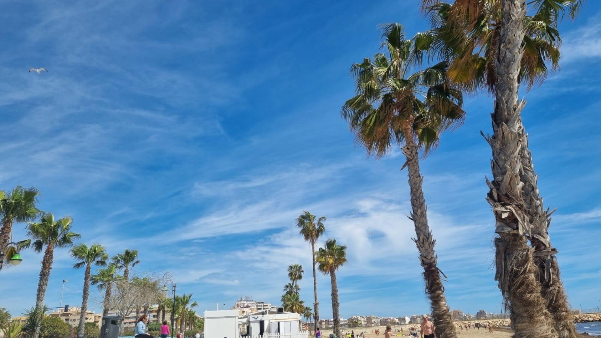 Wederverkoop - Appartement - Torrevieja - Beachside Torrevieja