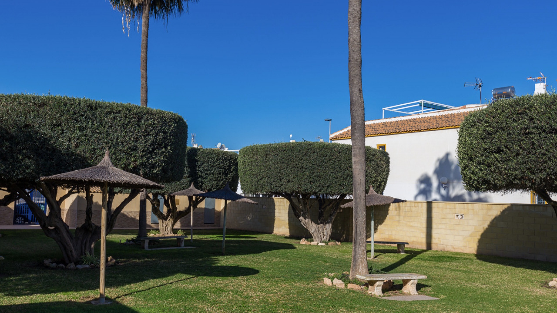 Wederverkoop - Appartement - Torrevieja - jardin del mar