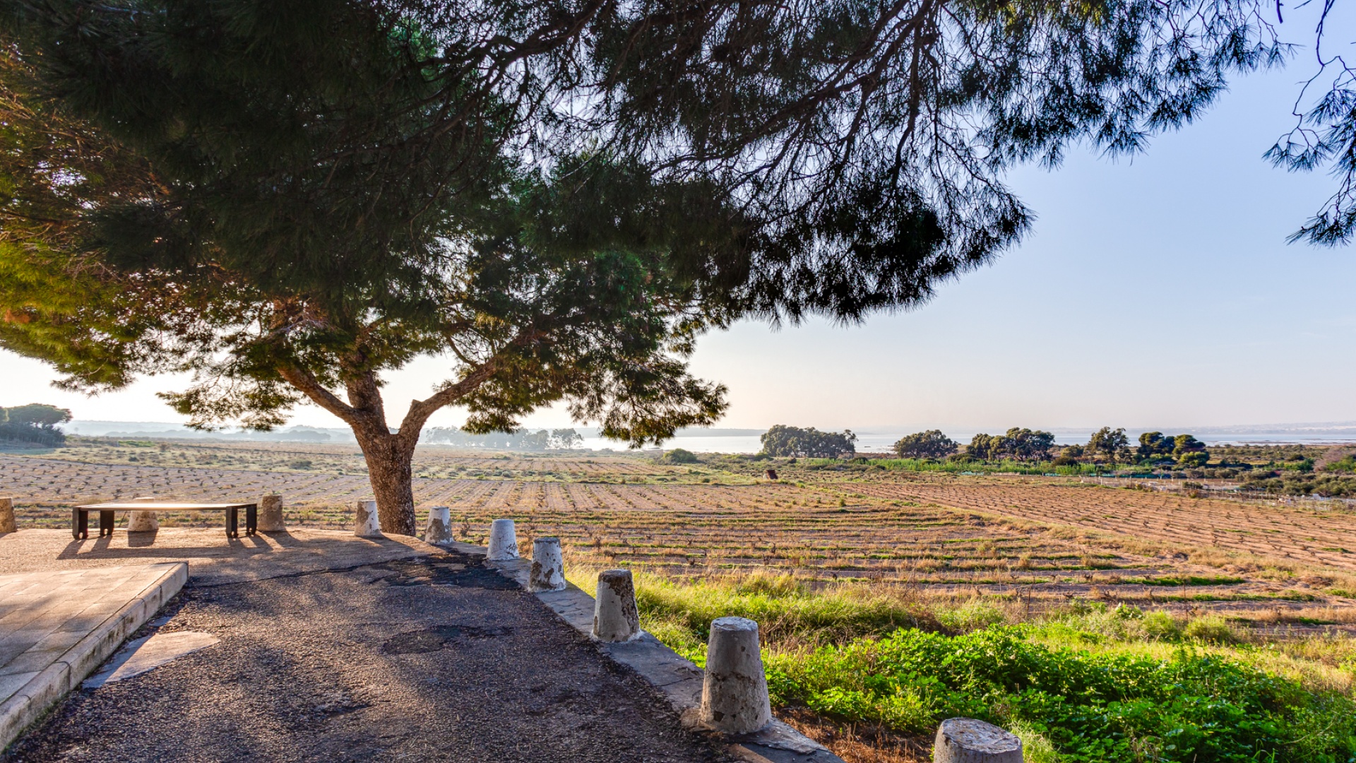 Wederverkoop - Appartement - Torrevieja - jardin del mar