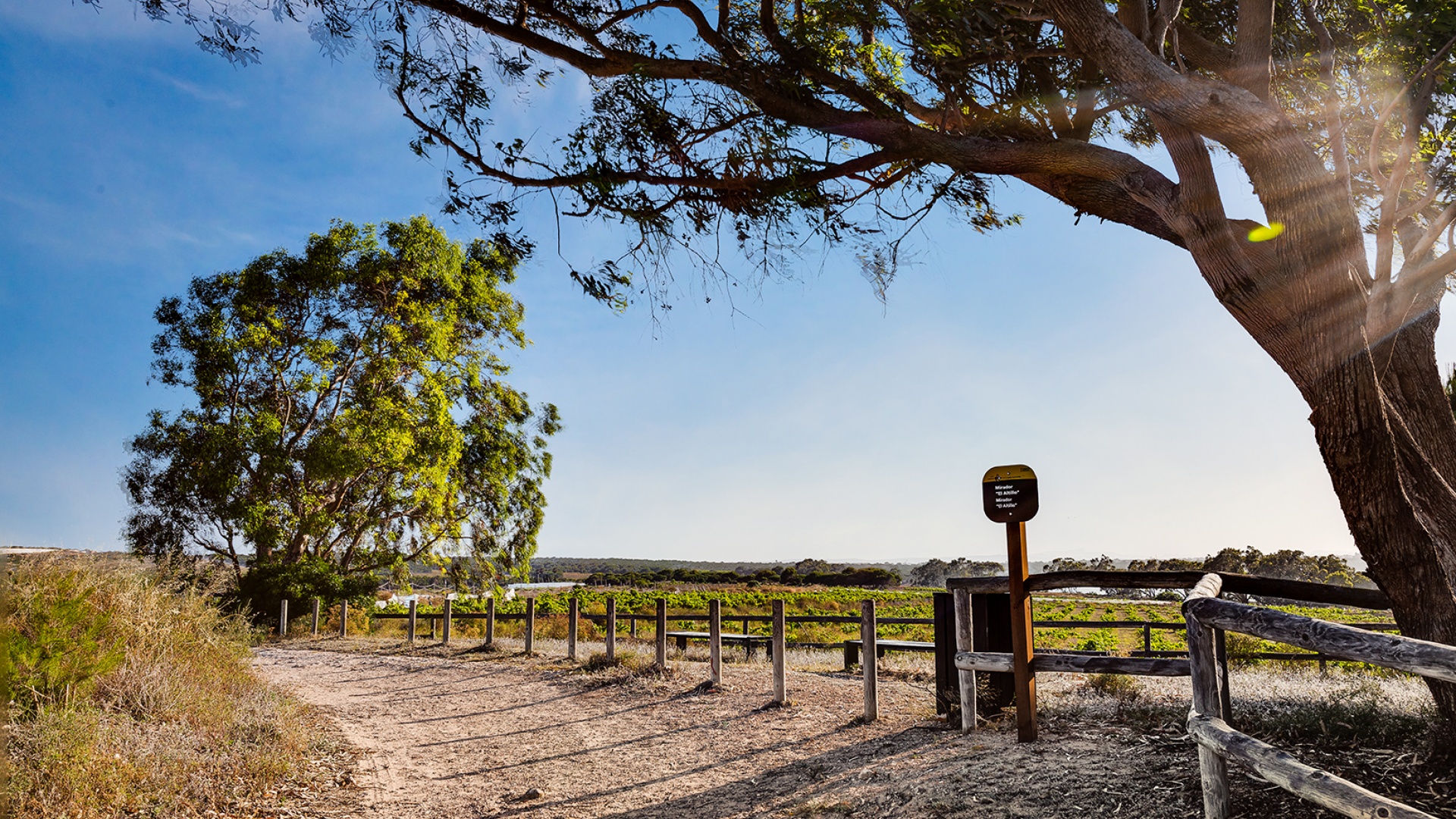Wederverkoop - Appartement - Torrevieja - jardin del mar