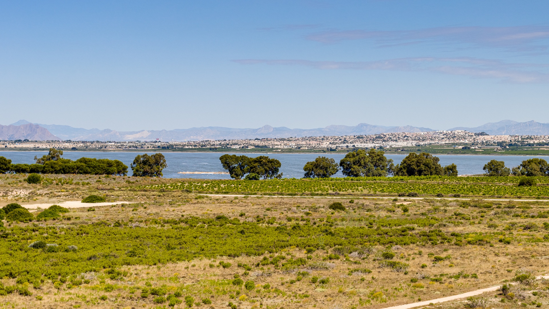 Wederverkoop - Appartement - Torrevieja - jardin del mar