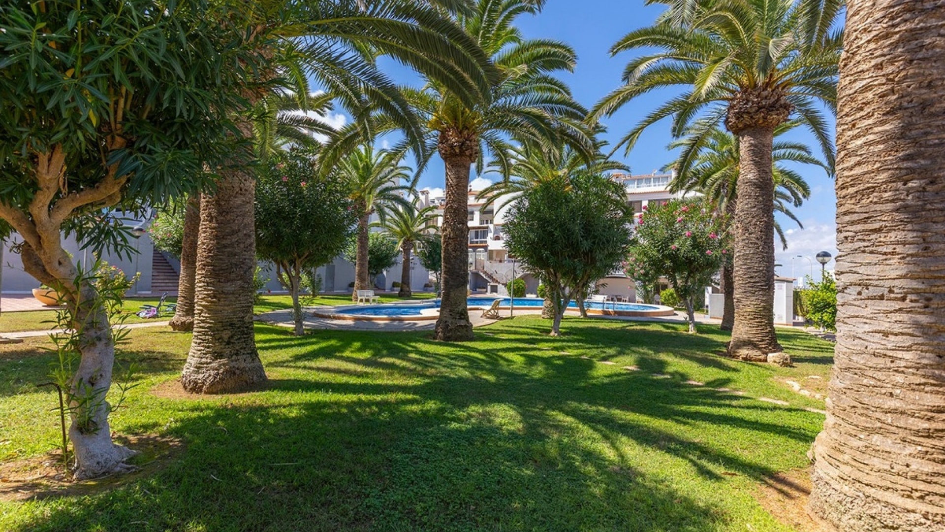 Wederverkoop - Appartement - Torrevieja - La Mata