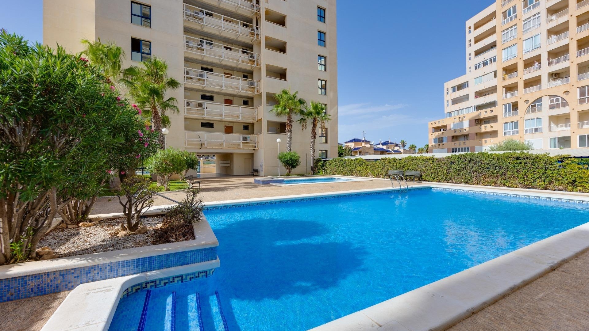 Wederverkoop - Appartement - Torrevieja - la veleta