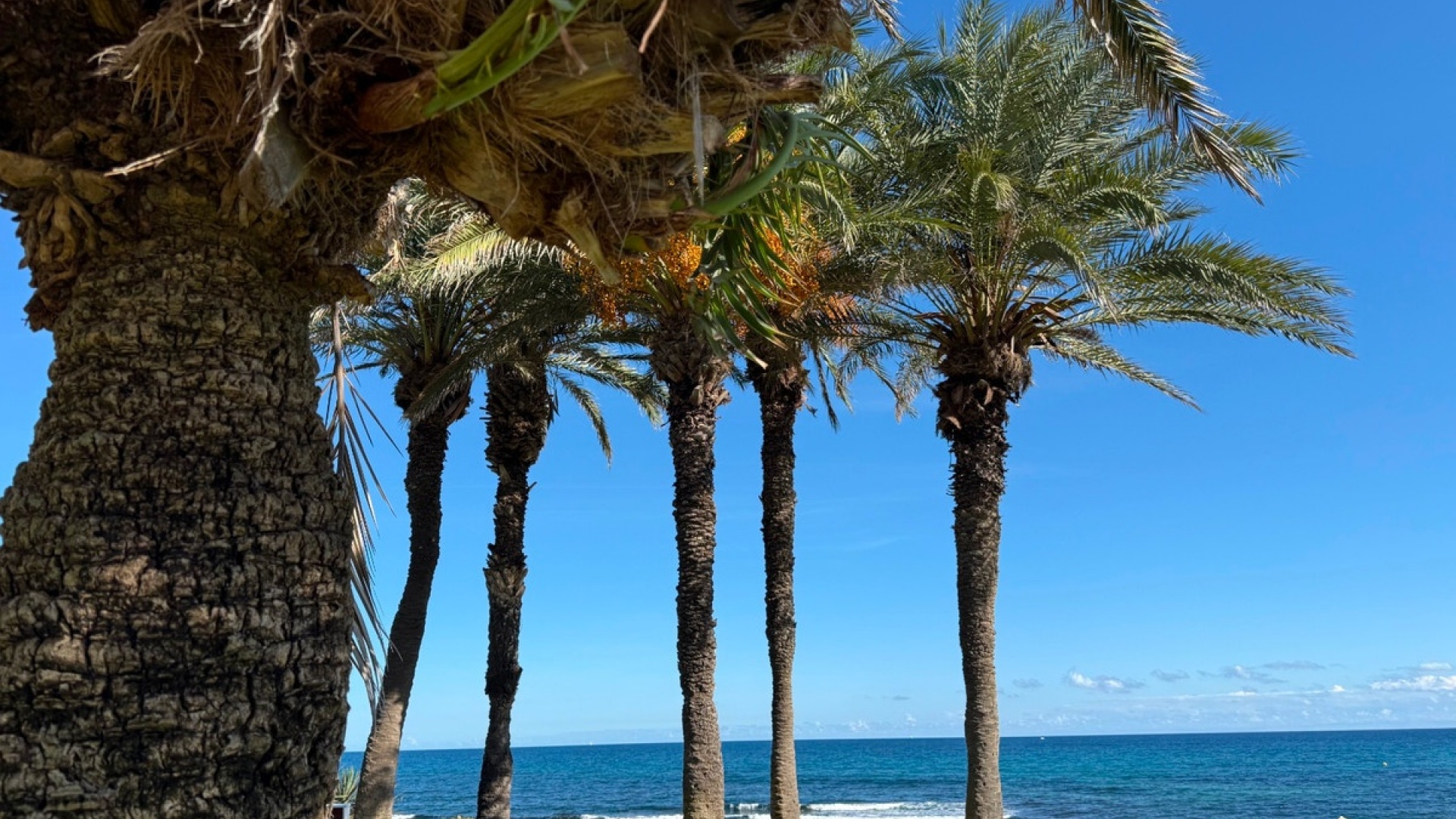 Wederverkoop - Appartement - Torrevieja - La Veleta