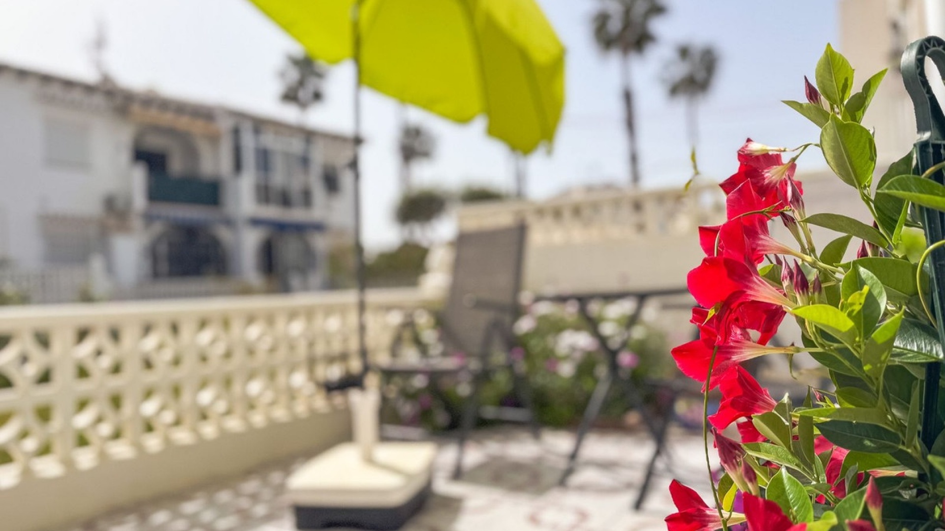 Wederverkoop - Appartement - Torrevieja - Lago Jardin