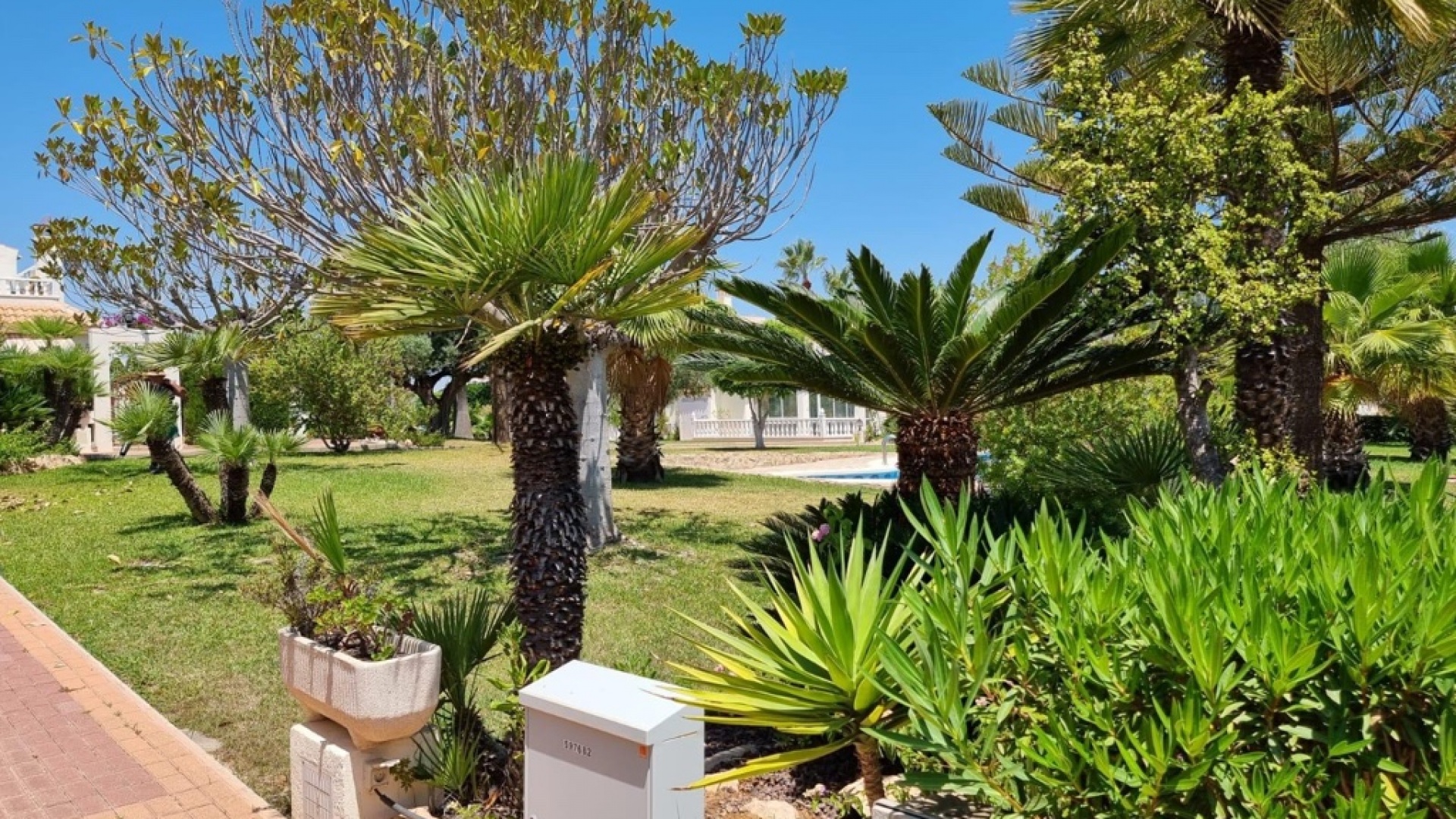 Wederverkoop - Appartement - Torrevieja - Los Balcones