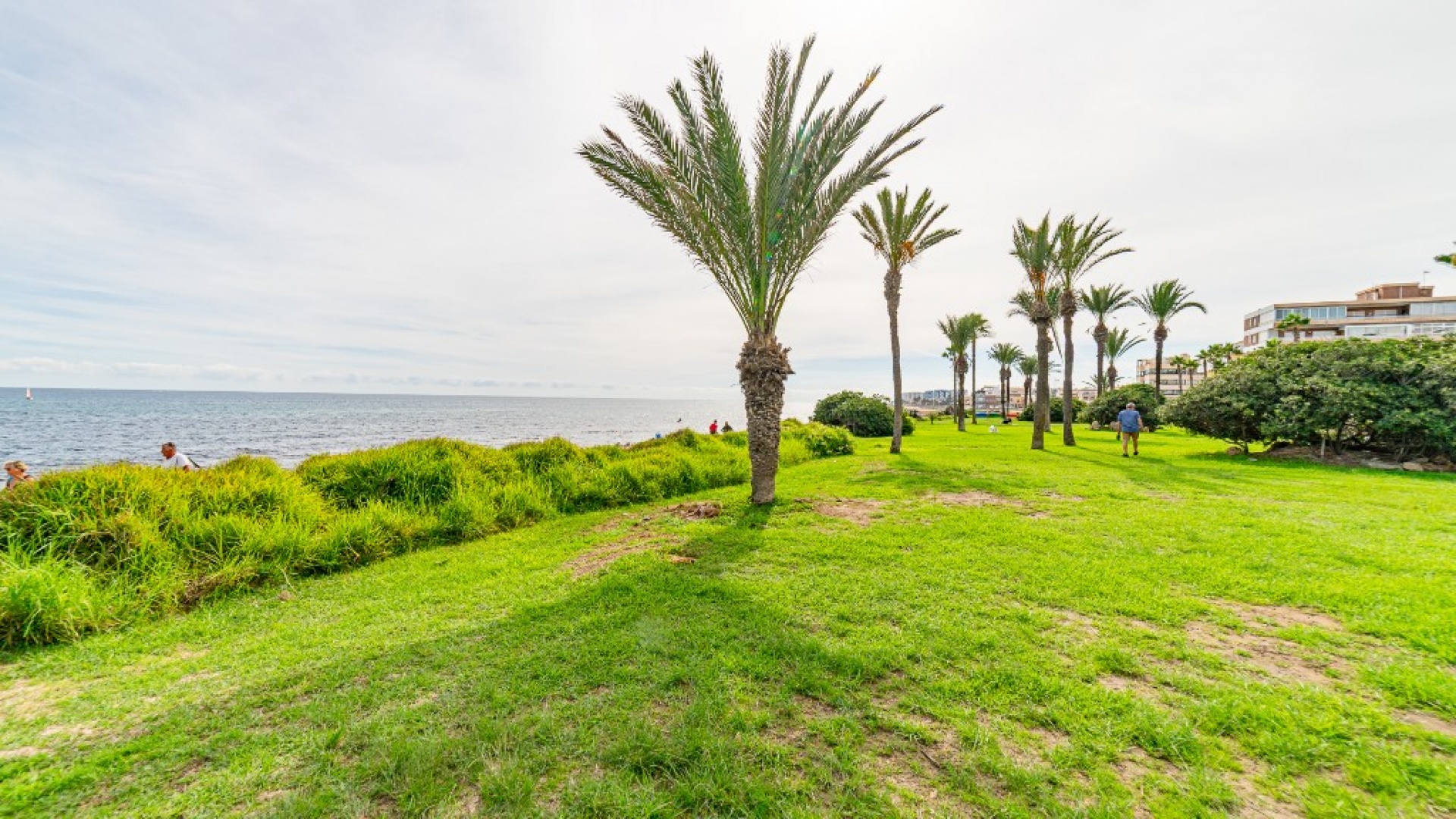 Wederverkoop - Appartement - Torrevieja - Mar Azul