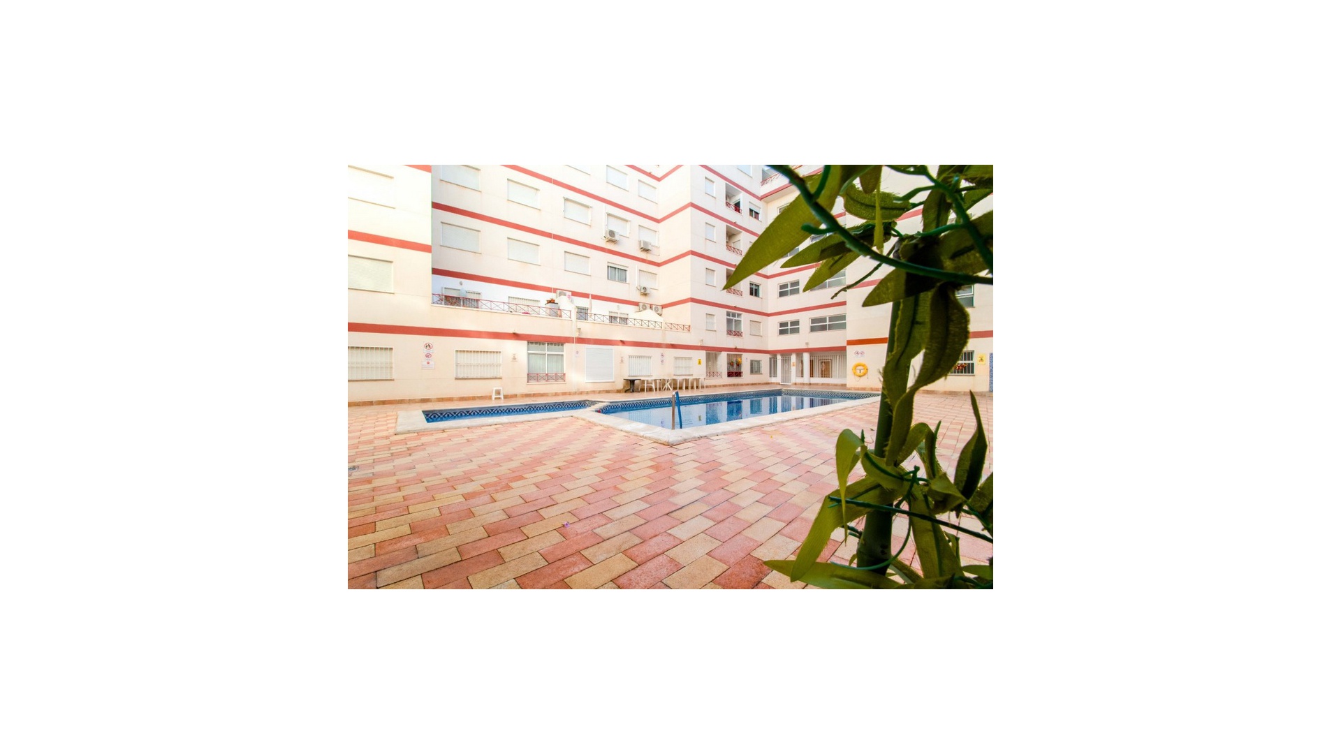 Wederverkoop - Appartement - Torrevieja - parque del naciones