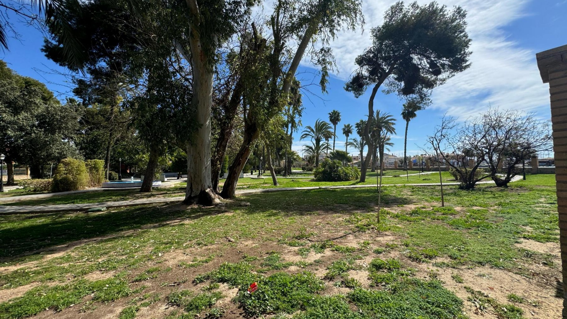 Wederverkoop - Appartement - Torrevieja - Playa del Acequión