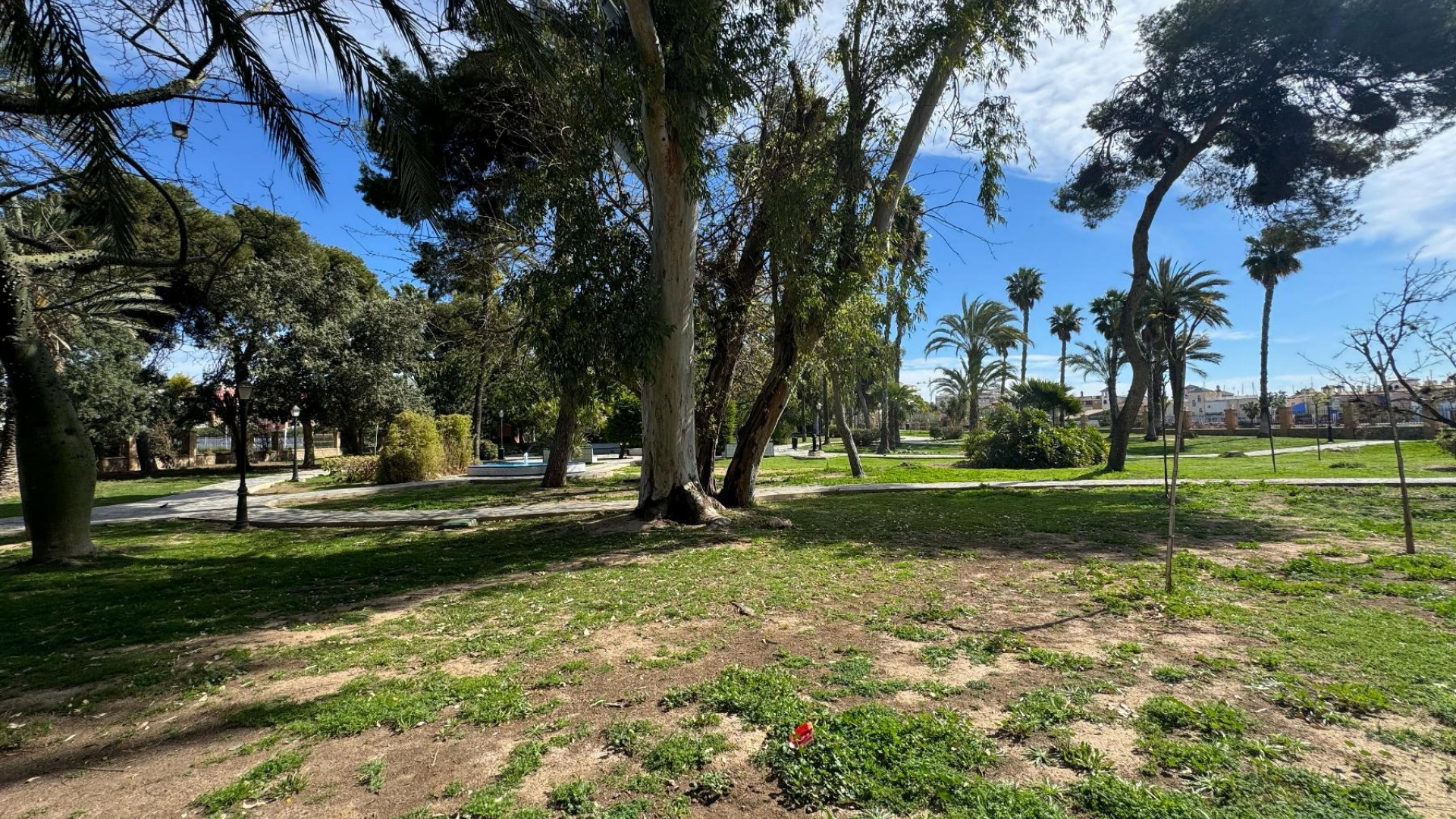 Wederverkoop - Appartement - Torrevieja - Playa del Acequión