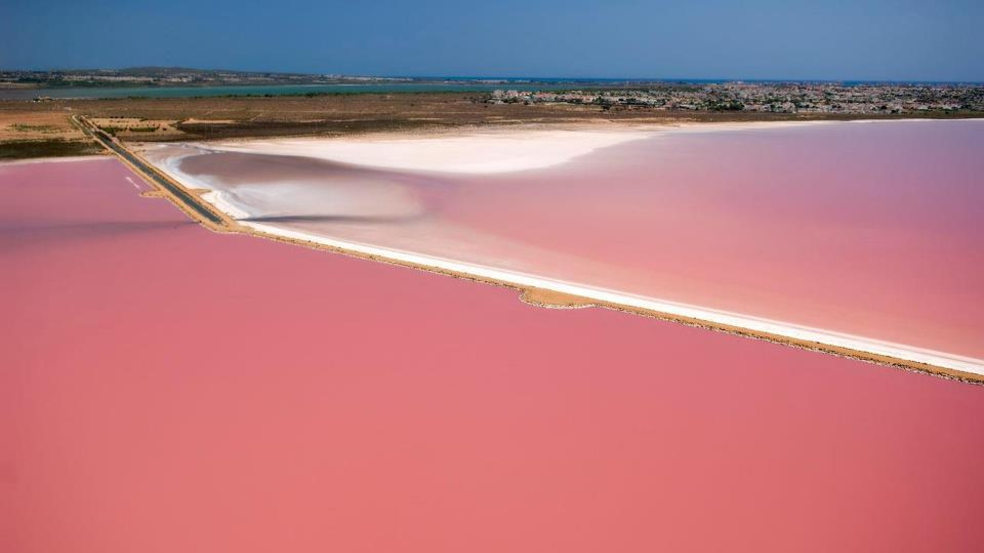 Wederverkoop - Appartement - Torrevieja - san luis