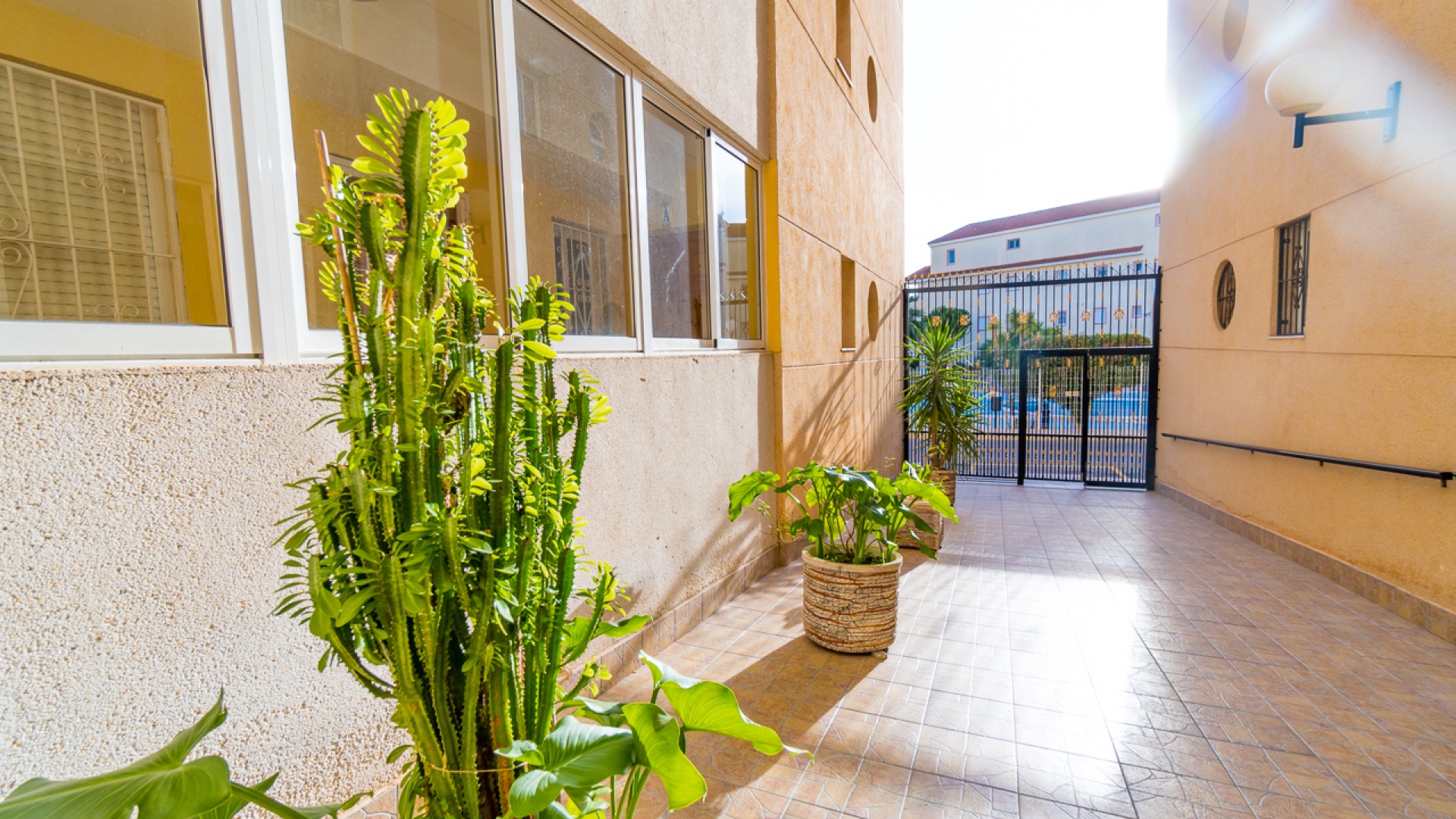 Wederverkoop - Appartement - Torrevieja - san luis