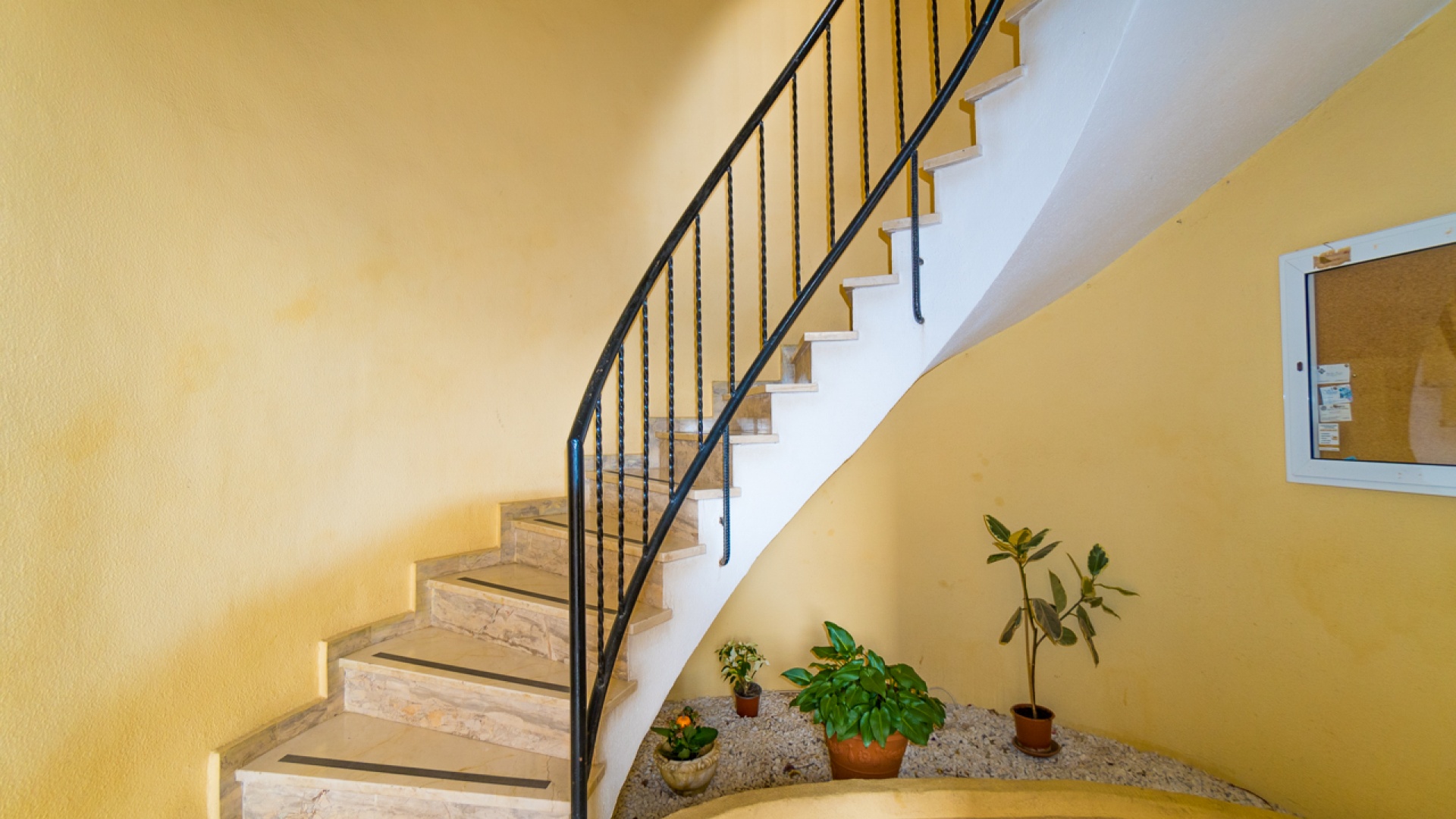 Wederverkoop - Appartement - Torrevieja - san luis