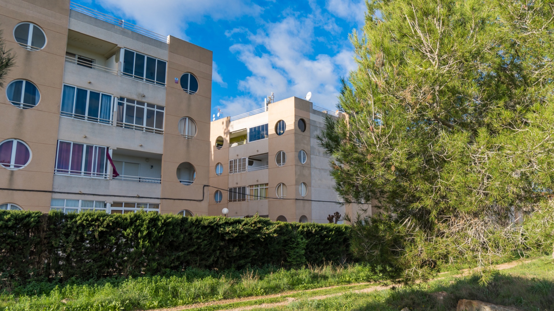 Wederverkoop - Appartement - Torrevieja - san luis