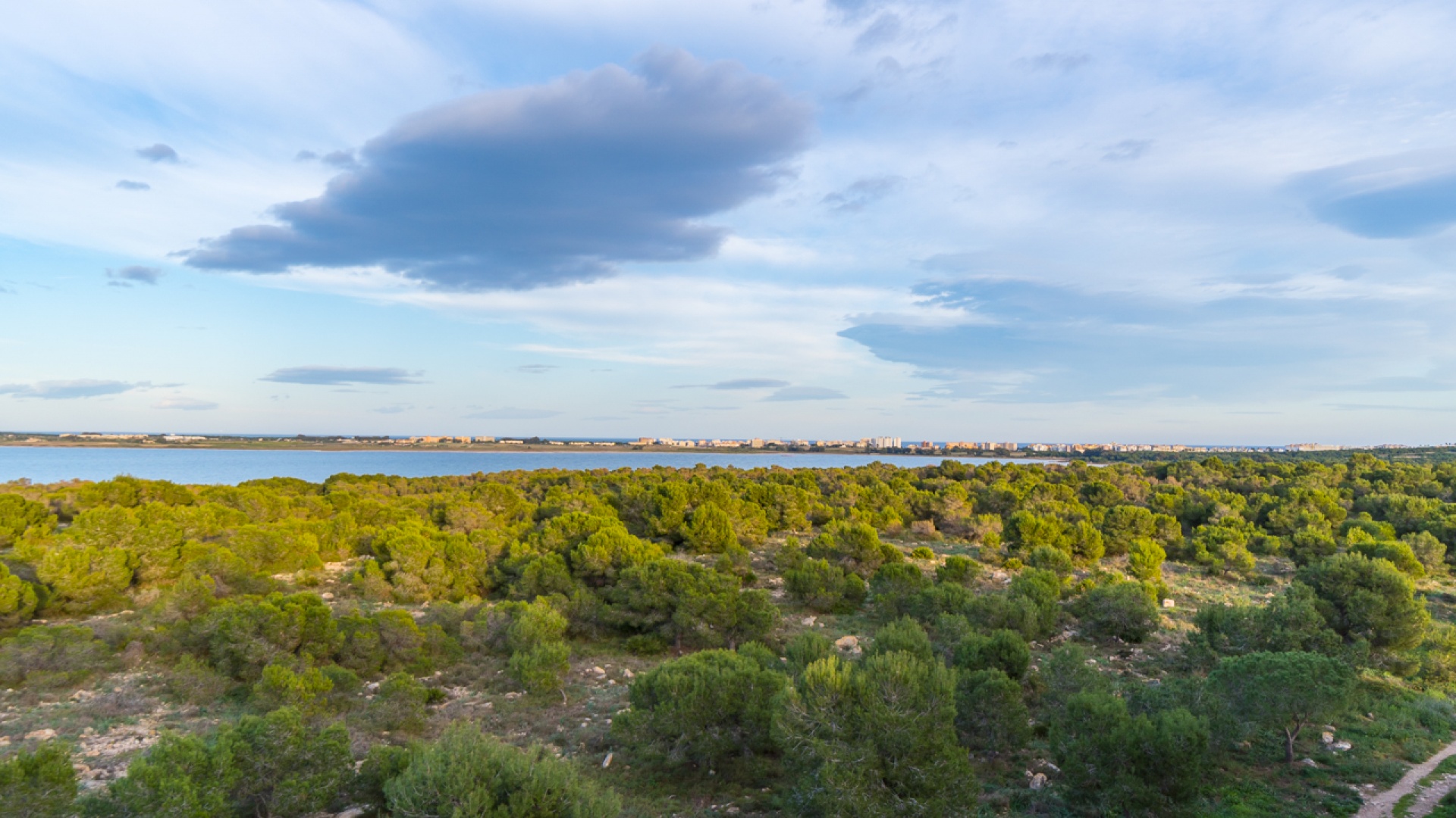 Wederverkoop - Appartement - Torrevieja - san luis