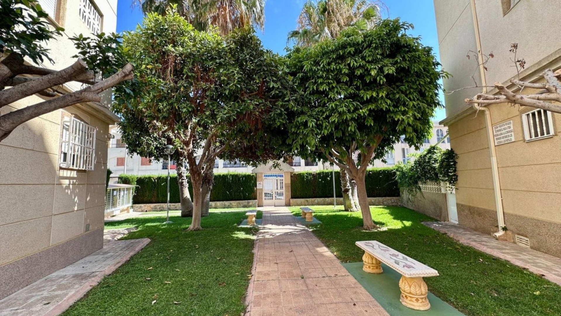 Wederverkoop - Appartement - Torrevieja - Torrevieja Centro