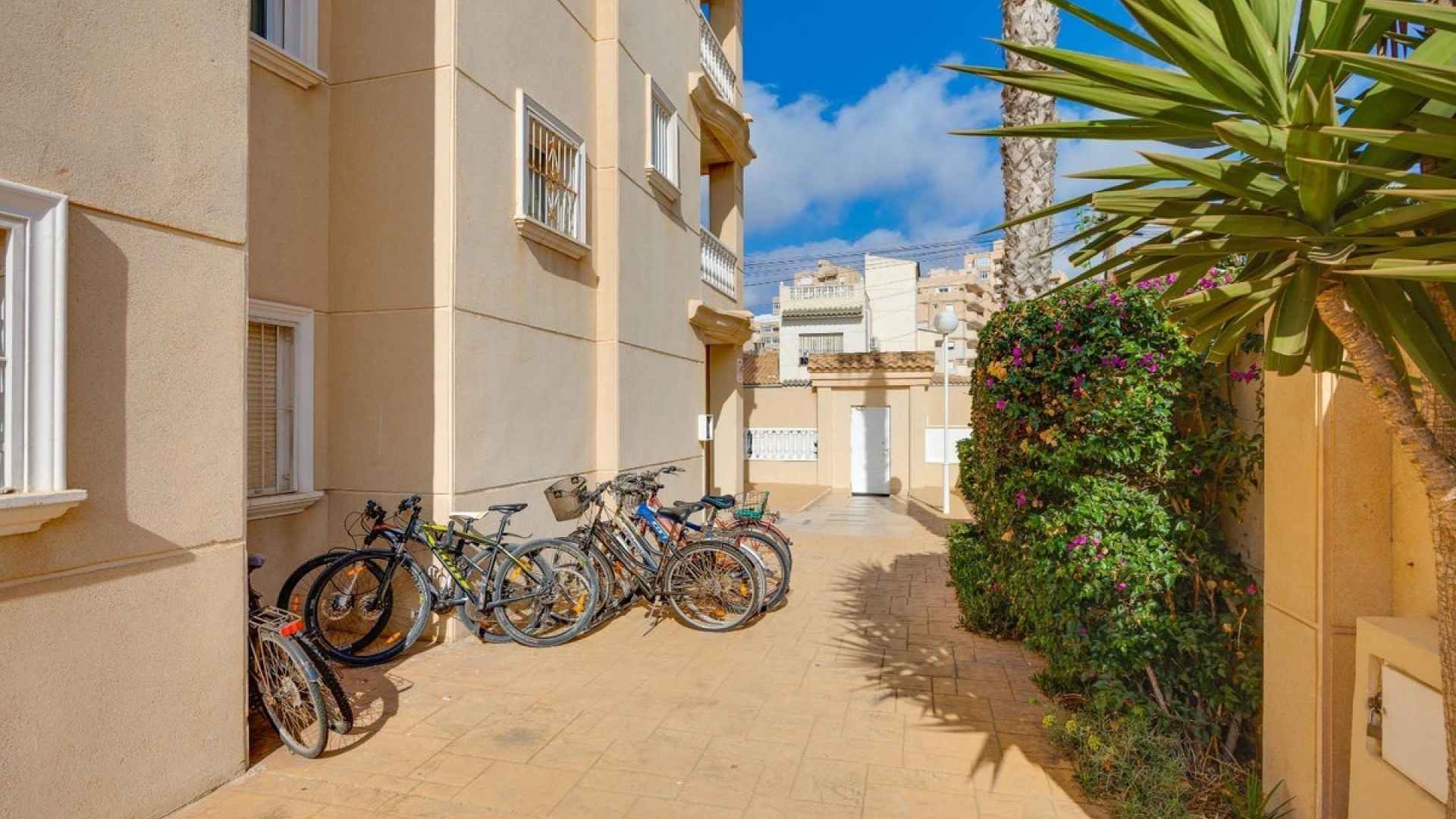 Wederverkoop - Appartement - Torrevieja - Torrevieja Centro