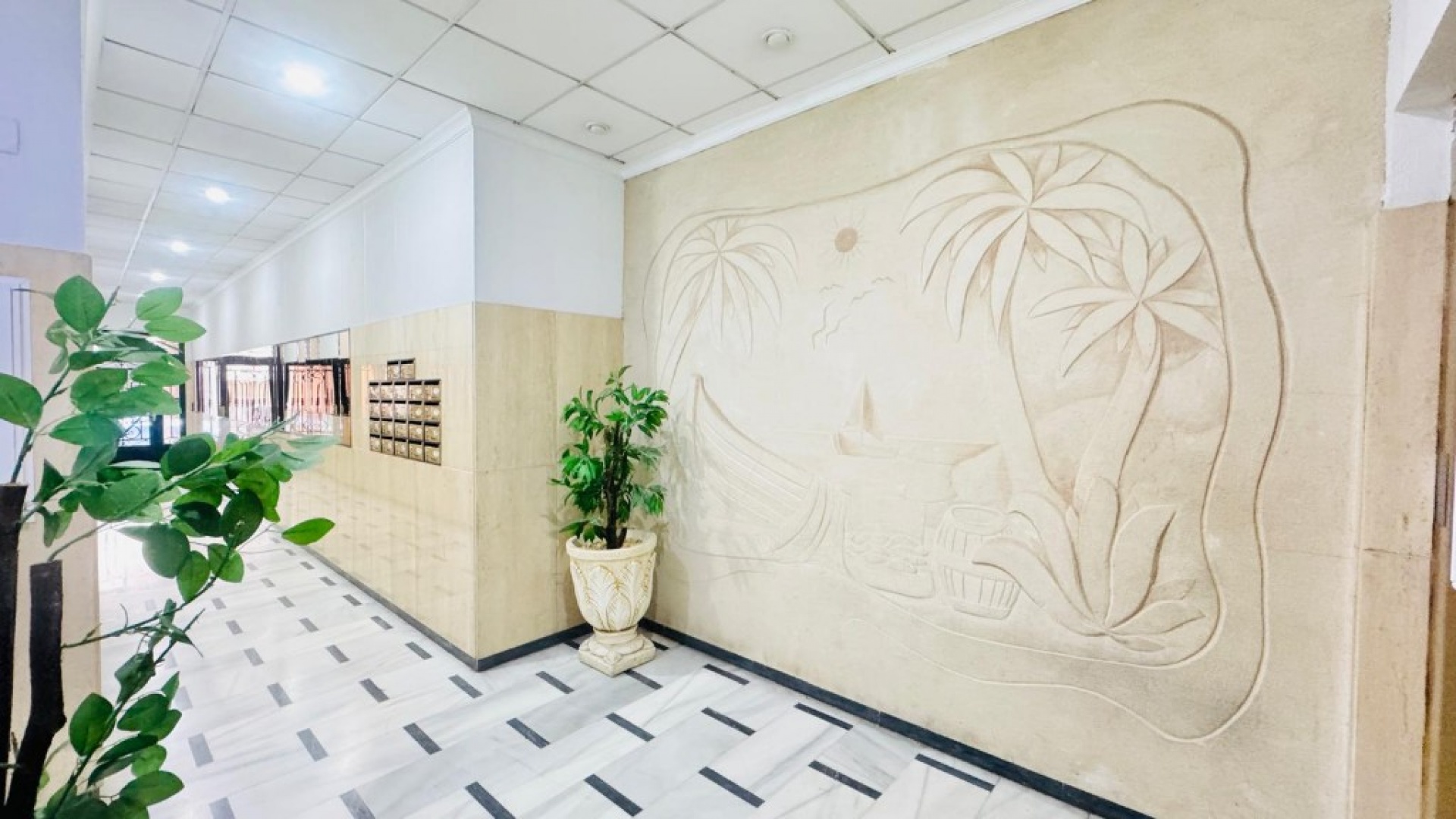 Wederverkoop - Appartement - Torrevieja