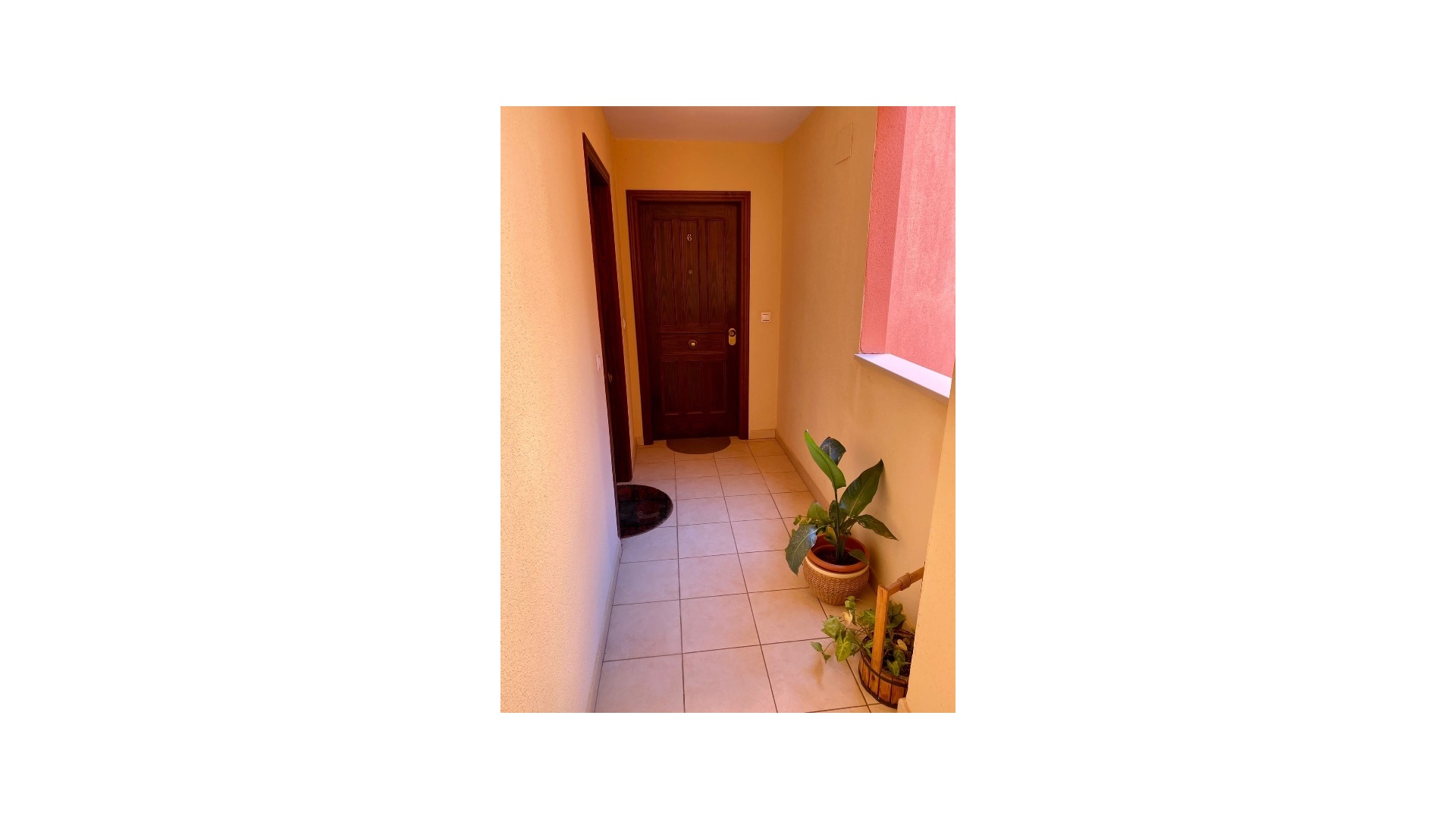 Wederverkoop - Appartement - Torrevieja