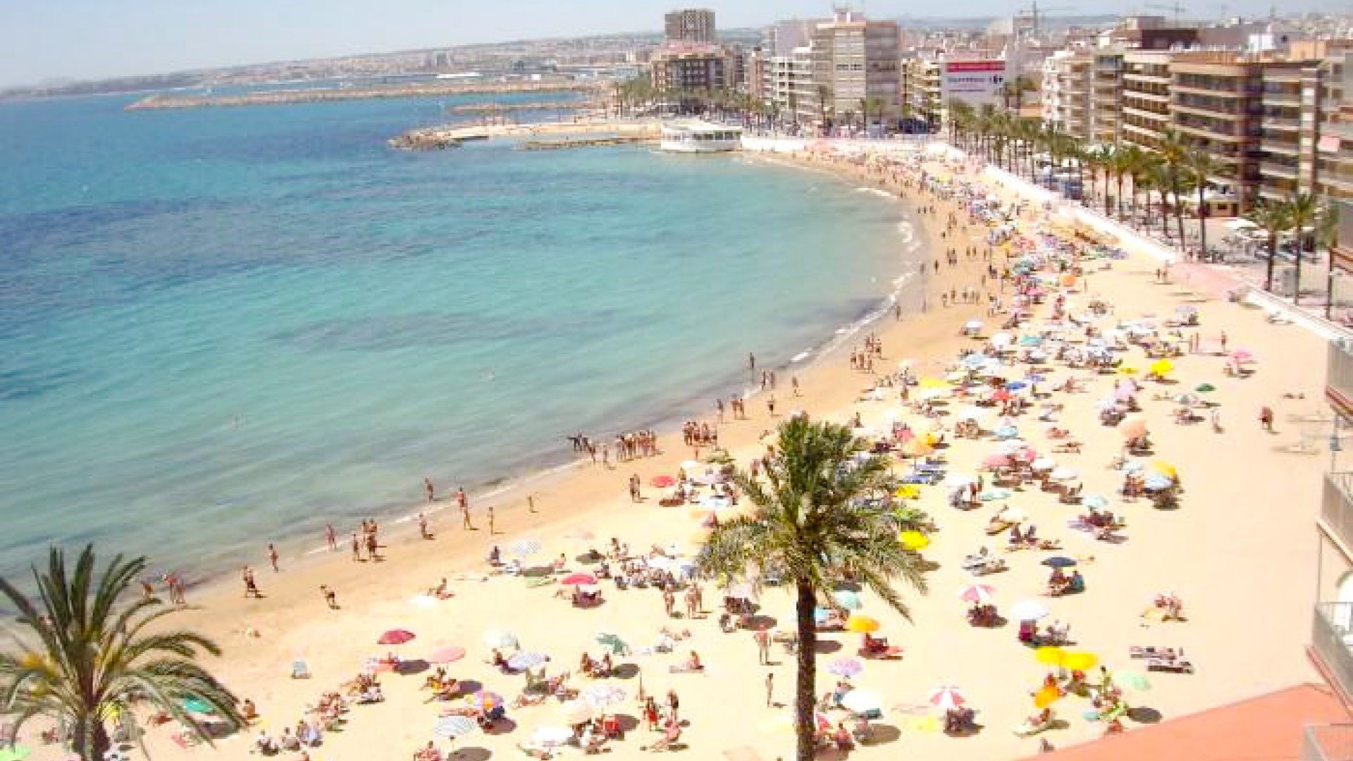 Wederverkoop - Appartement - Torrevieja