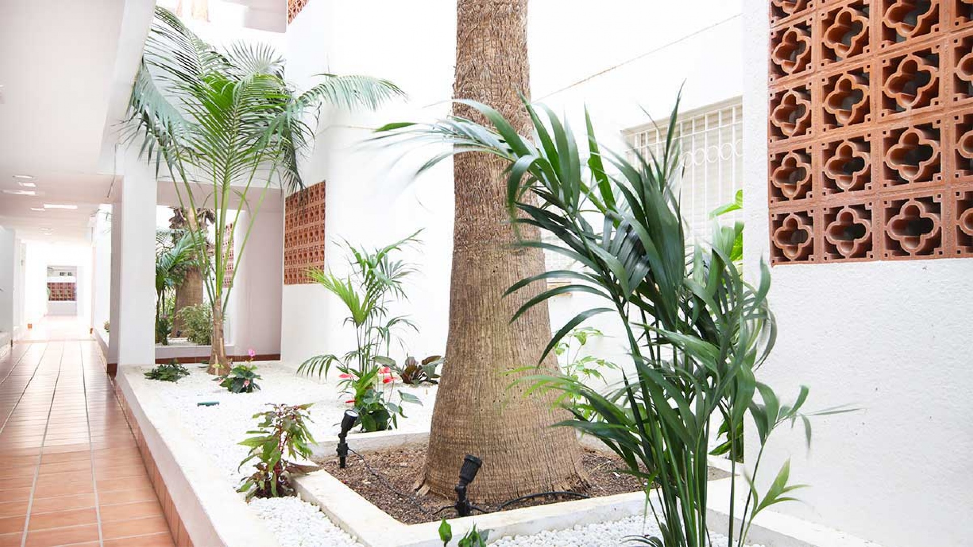 Wederverkoop - Appartement - Villamartin - La Fuente