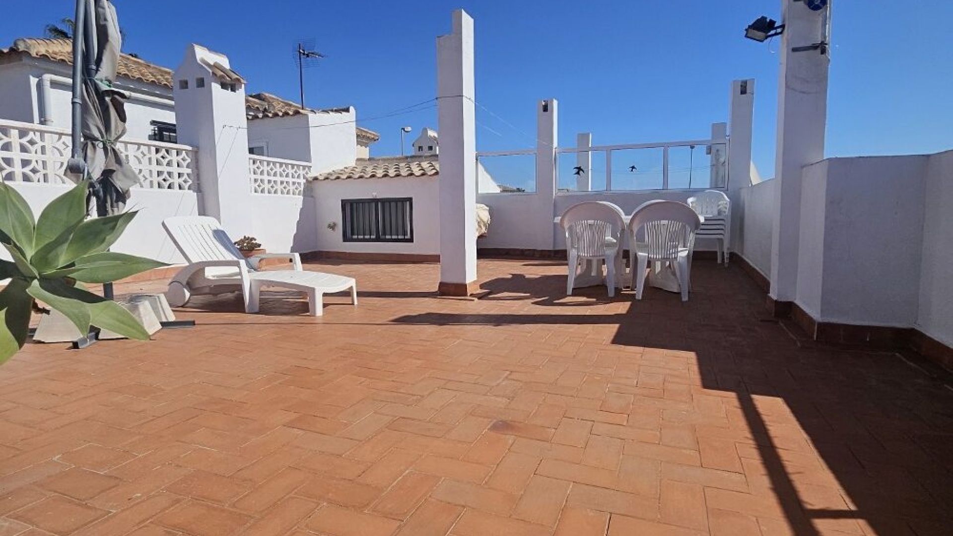 Wederverkoop - Bungalow - Punta Prima - serena