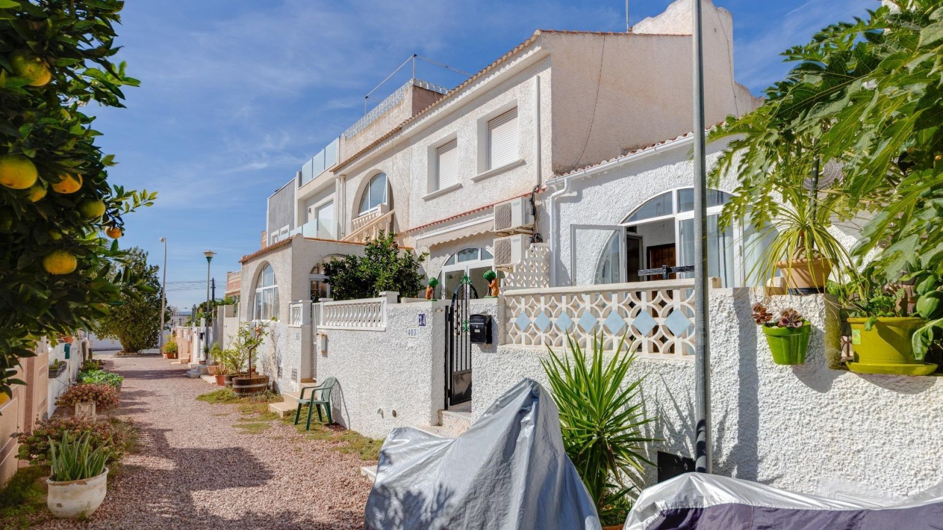 Wederverkoop - Bungalow - Torrevieja - la siesta