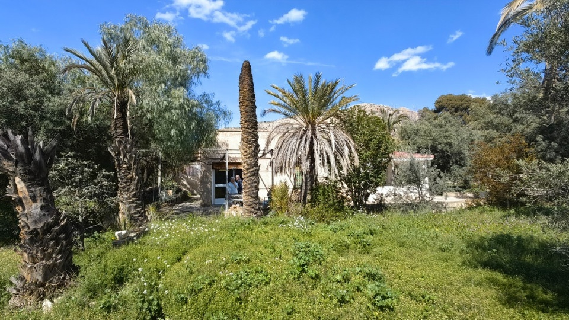 Wederverkoop - Country Property - Elda - Elda Centro