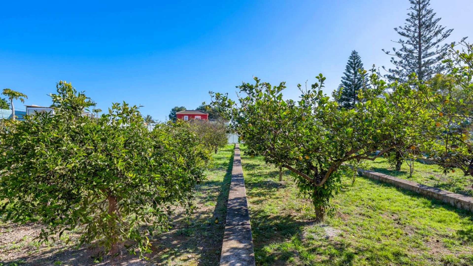 Wederverkoop - Country Property - Los Montesinos