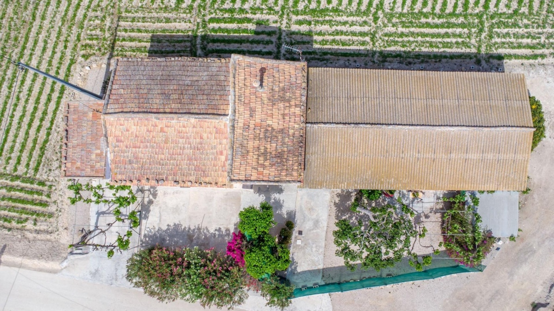 Wederverkoop - Country Property - Orihuela - Orihuela Centro