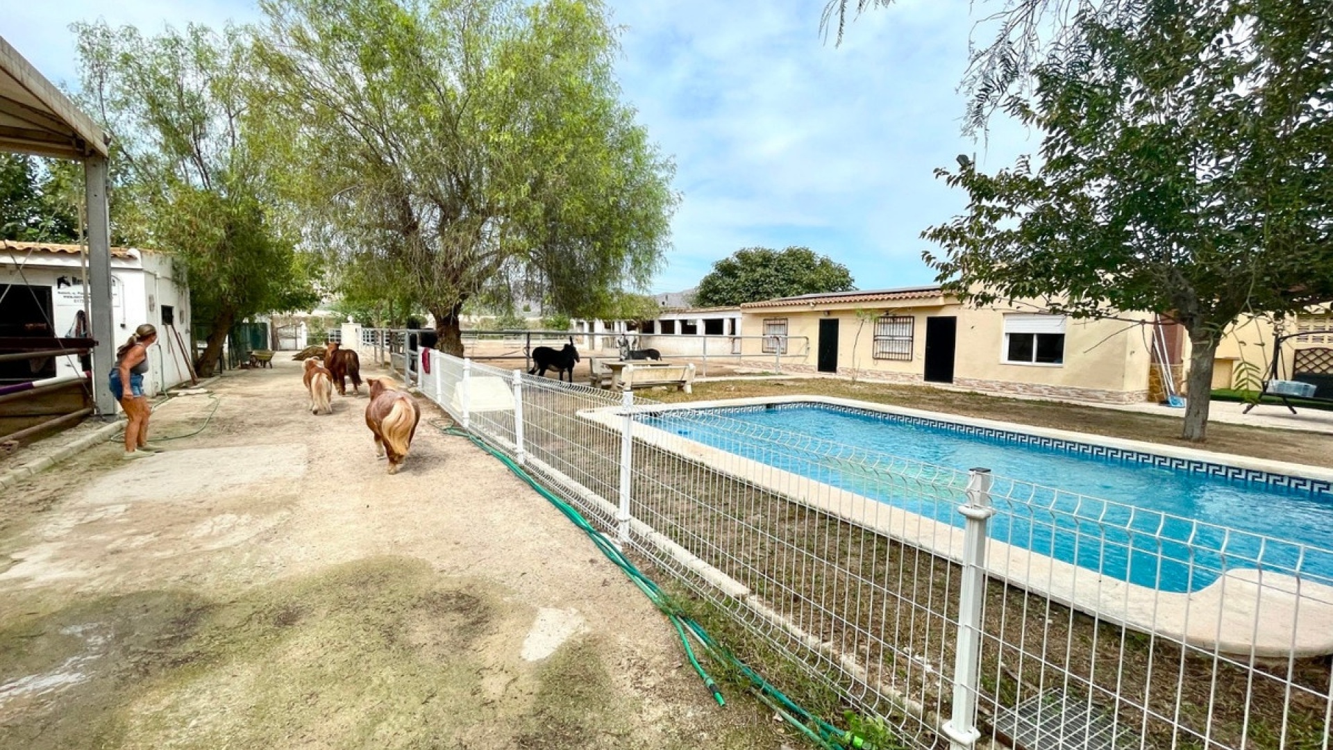 Wederverkoop - Country Property - Orihuela - Orihuela Centro