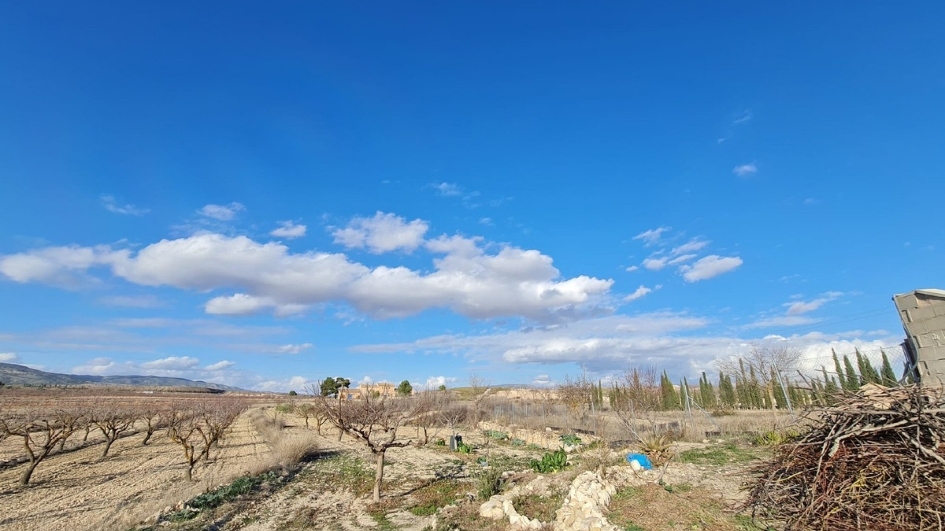 Wederverkoop - Country Property - Pinoso - Pinoso Centro