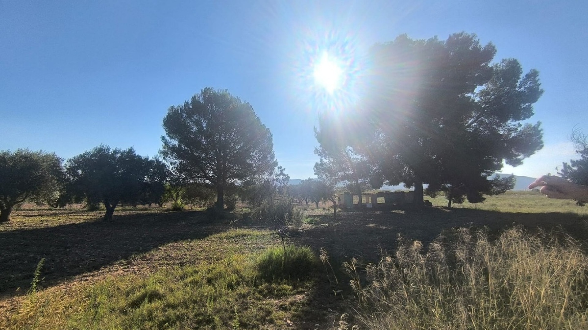 Wederverkoop - Country Property - Pinoso - Pinoso Centro