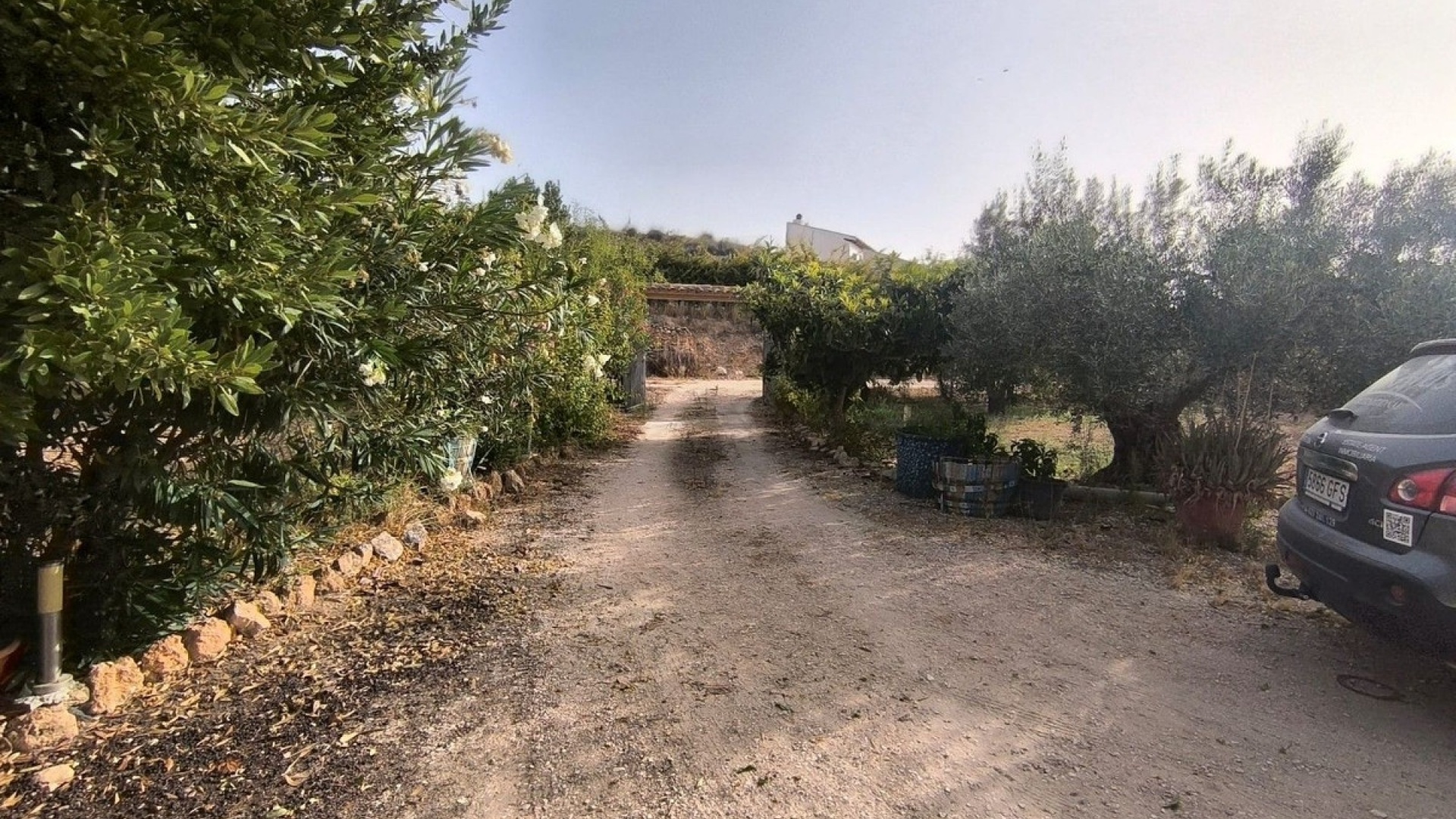 Wederverkoop - Country Property - Pinoso - Pinoso Centro