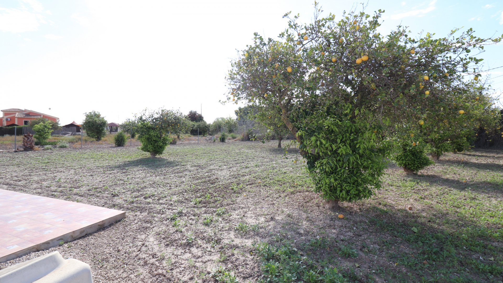 Wederverkoop - Country Property - Rafal - El Mudamiento