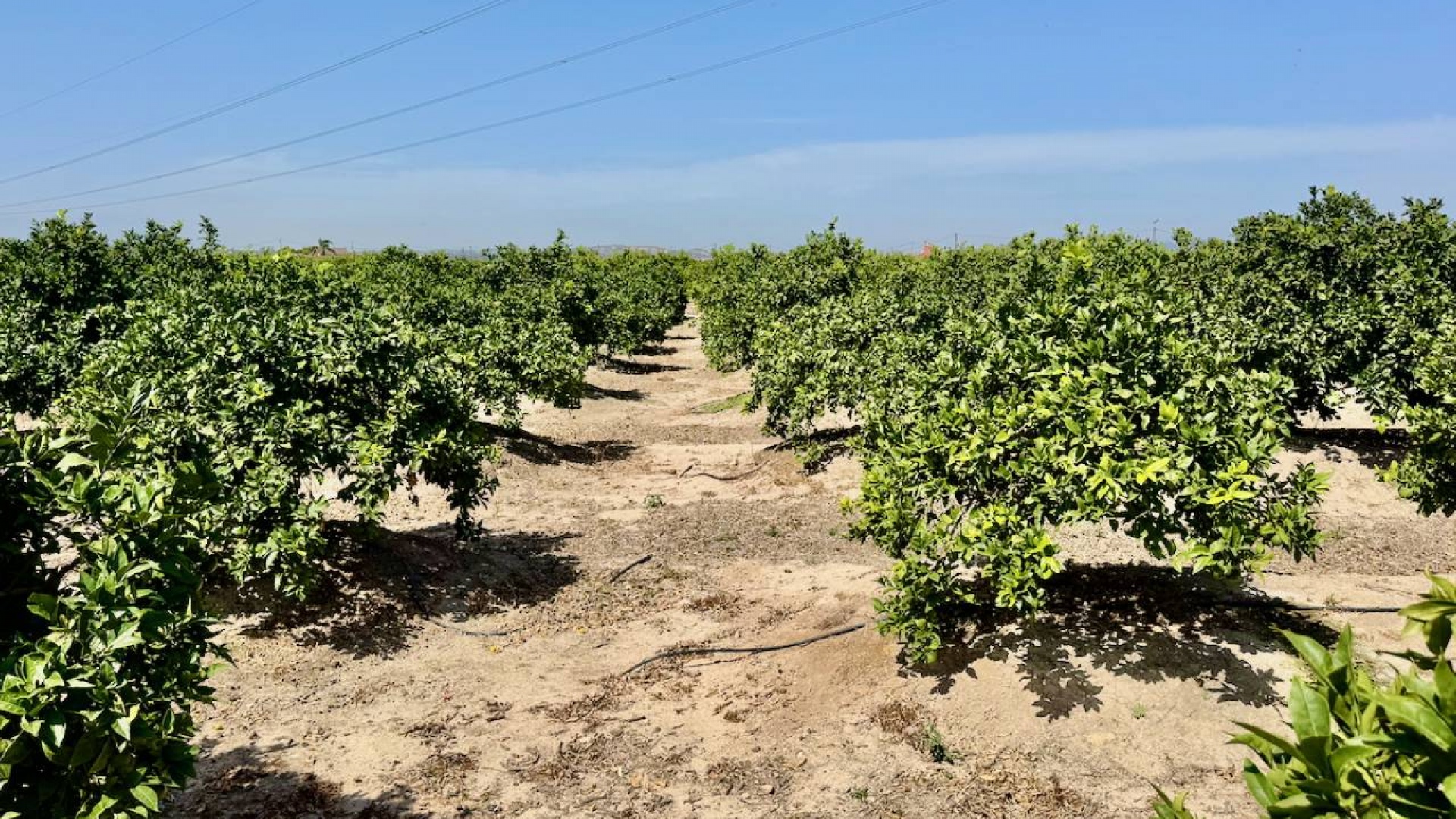 Wederverkoop - Country Property - Rojales