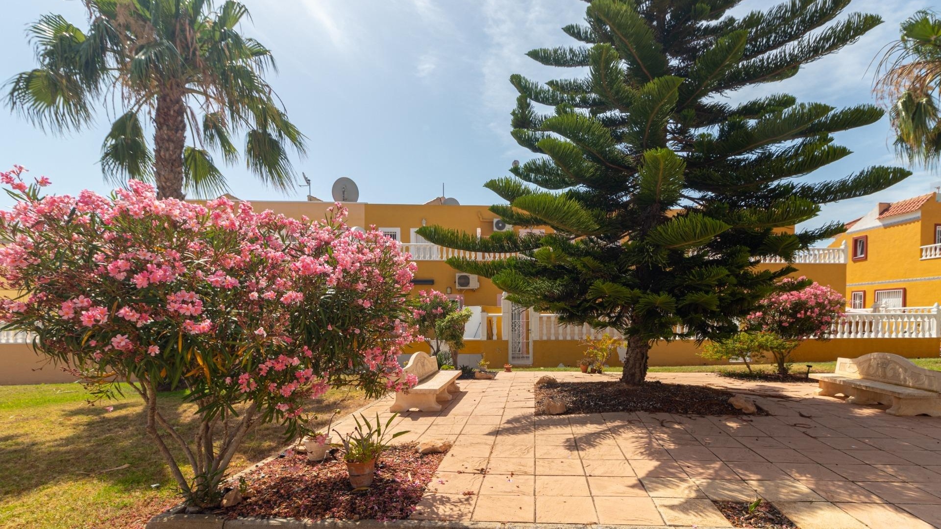 Wederverkoop - Herenhuis - Cabo Roig - la regia