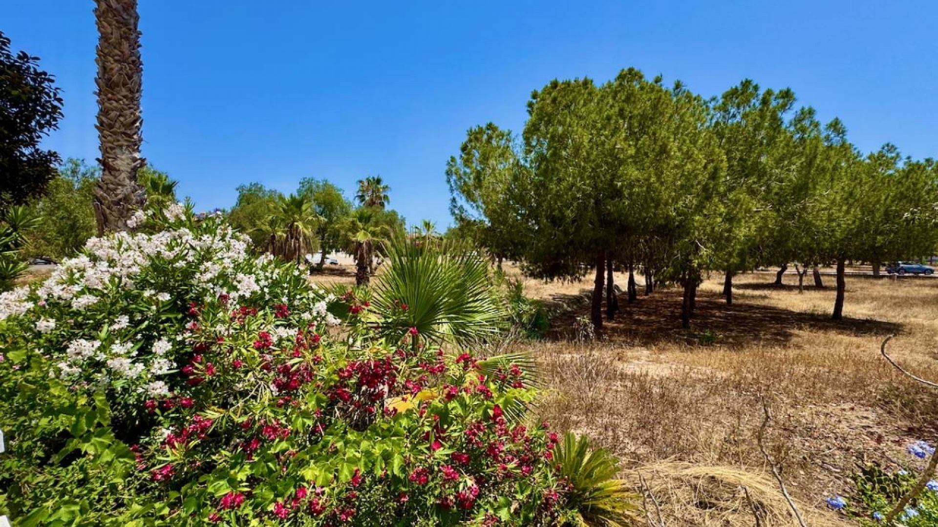 Wederverkoop - Herenhuis - Ciudad Quesada - Dona Pepa