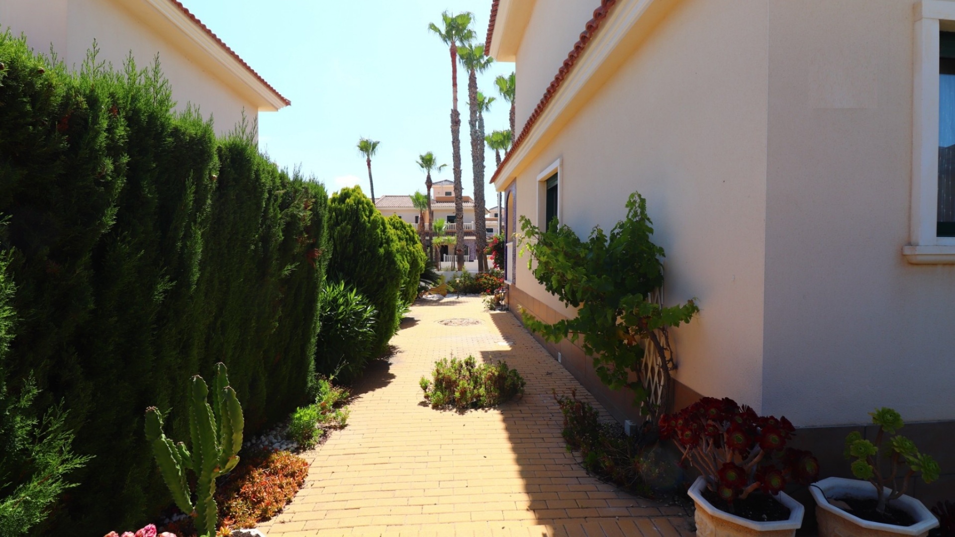 Wederverkoop - Herenhuis - Ciudad Quesada - Dona Pepa