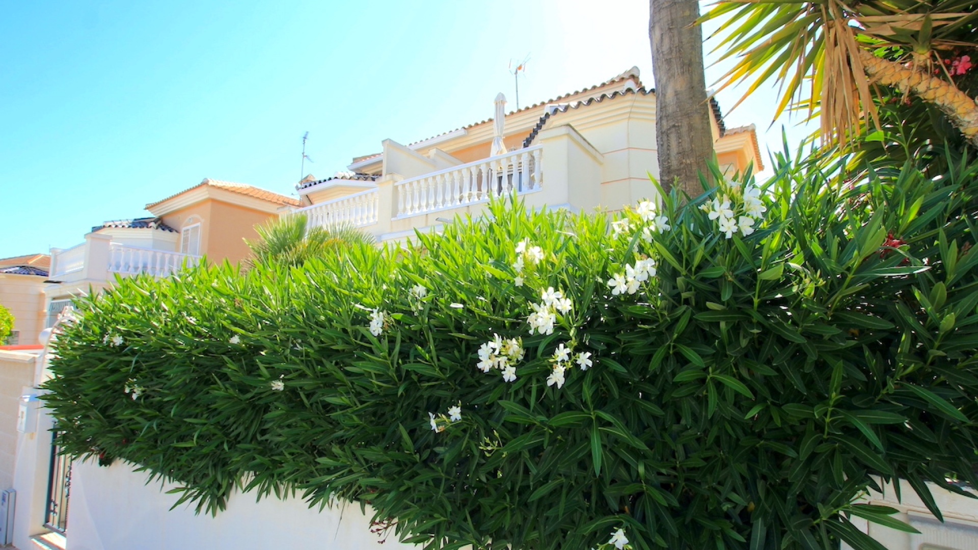 Wederverkoop - Herenhuis - Ciudad Quesada - La Fiesta