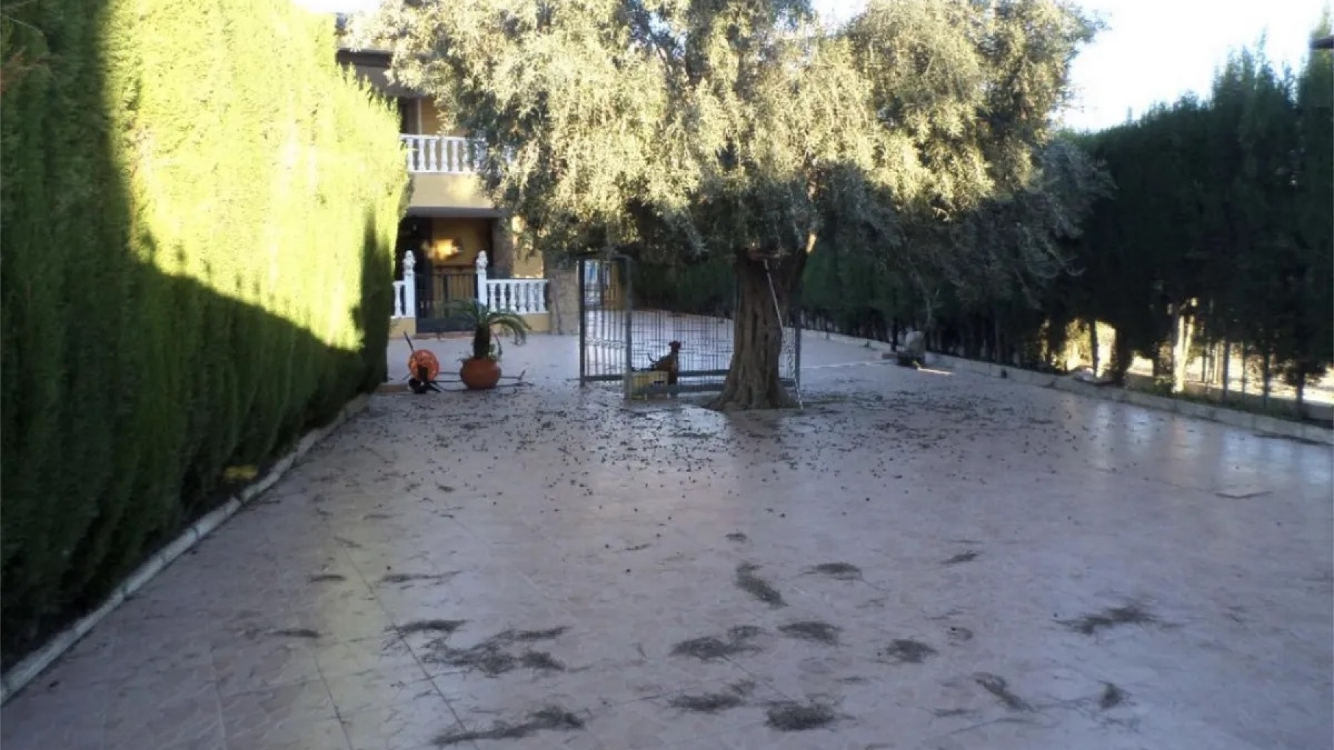 Wederverkoop - Herenhuis - Orihuela - Orihuela Centro